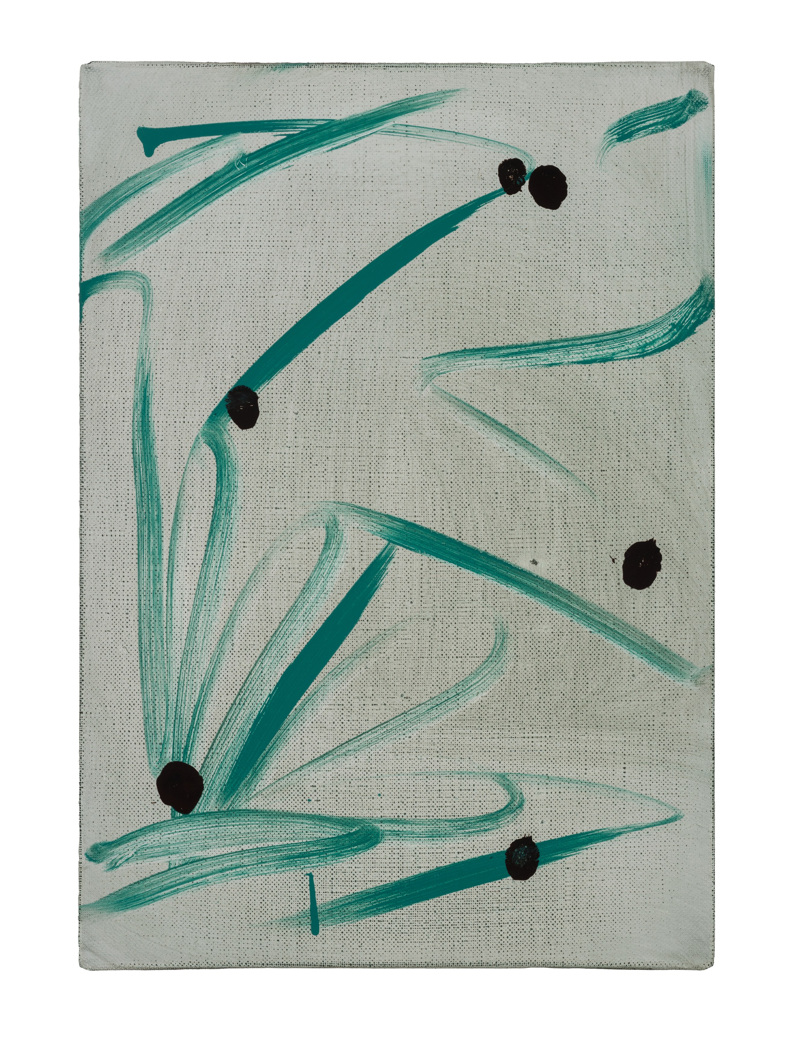 Leunora Salihu, Albrecht Schnider, A Plant. A Person. A Life. at Galerie Thomas Schulte, photo 23