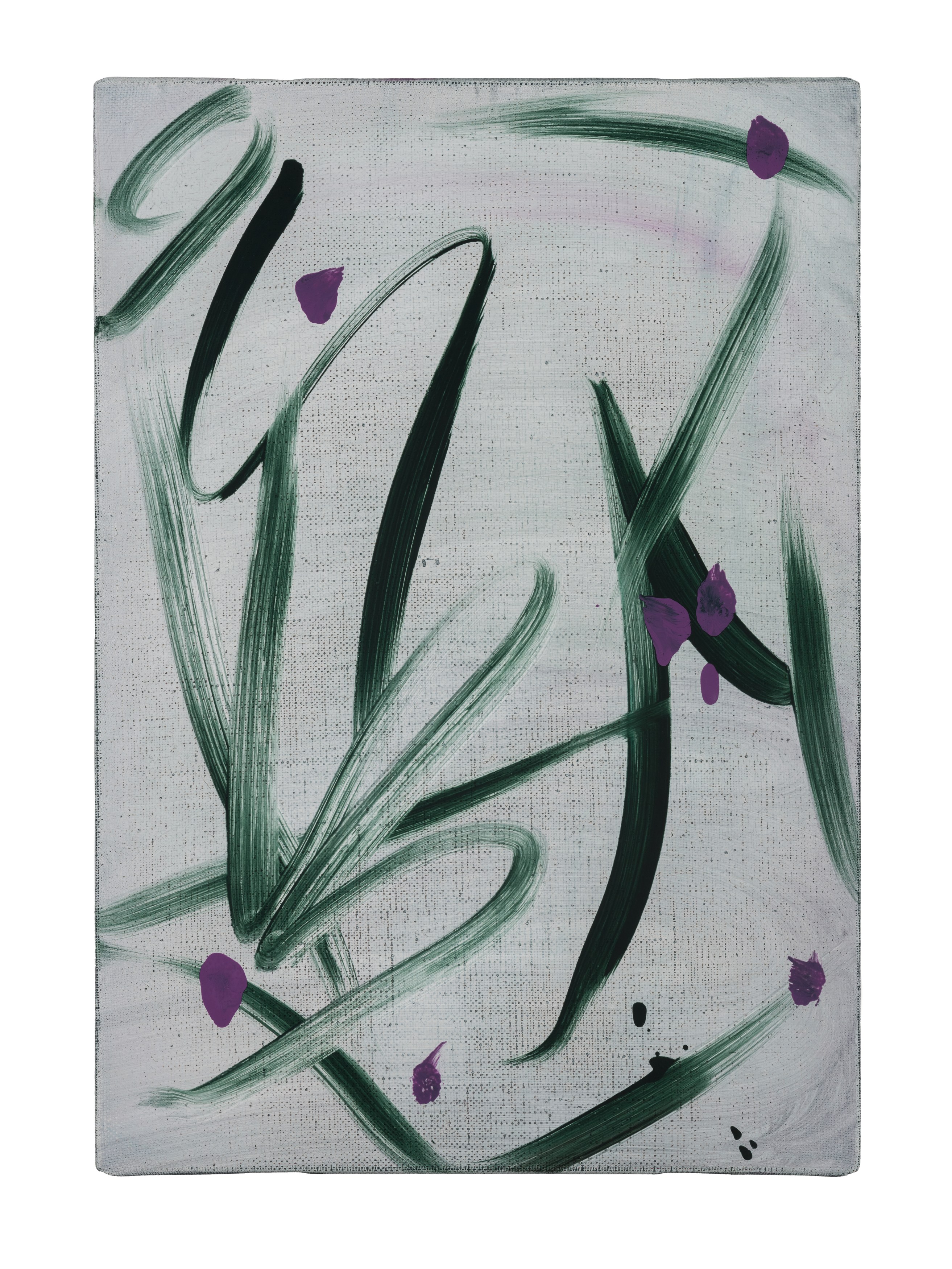 Leunora Salihu, Albrecht Schnider, A Plant. A Person. A Life. at Galerie Thomas Schulte, photo 22