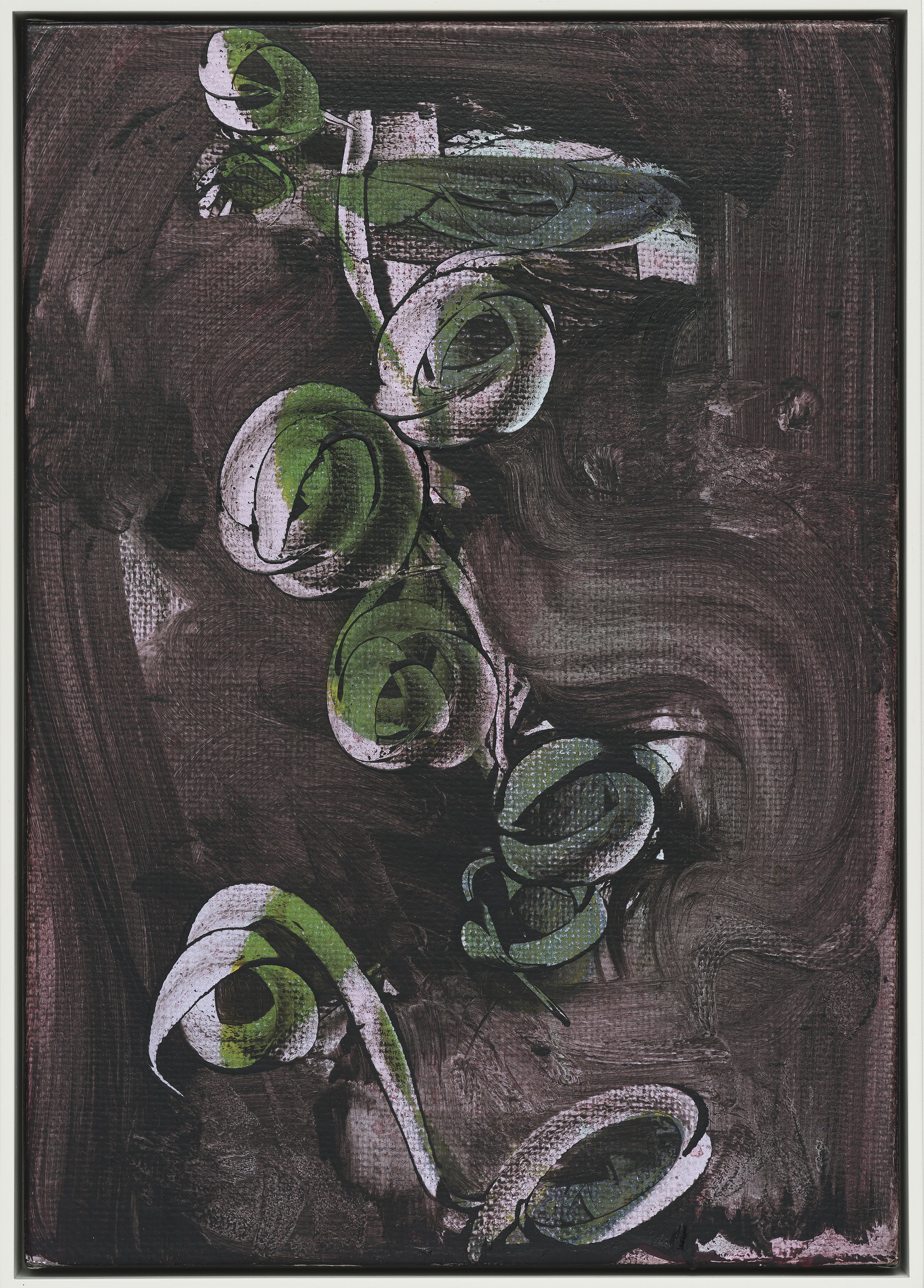 Leunora Salihu, Albrecht Schnider, A Plant. A Person. A Life. at Galerie Thomas Schulte, photo 29