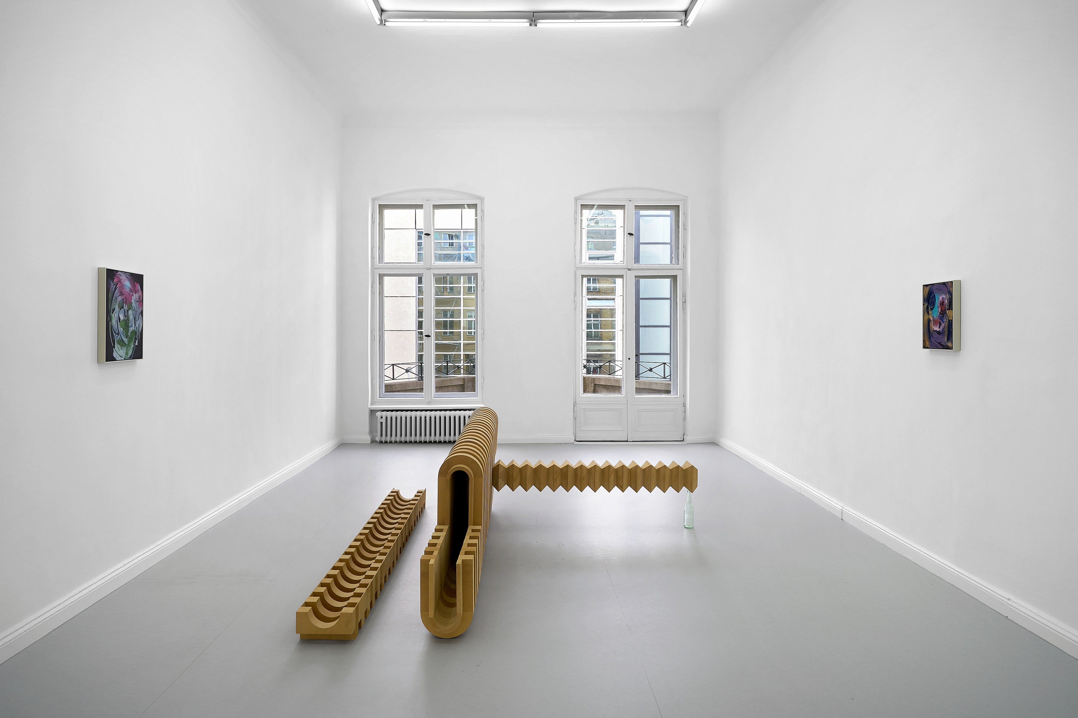 Leunora Salihu, Albrecht Schnider, A Plant. A Person. A Life. at Galerie Thomas Schulte, photo 6