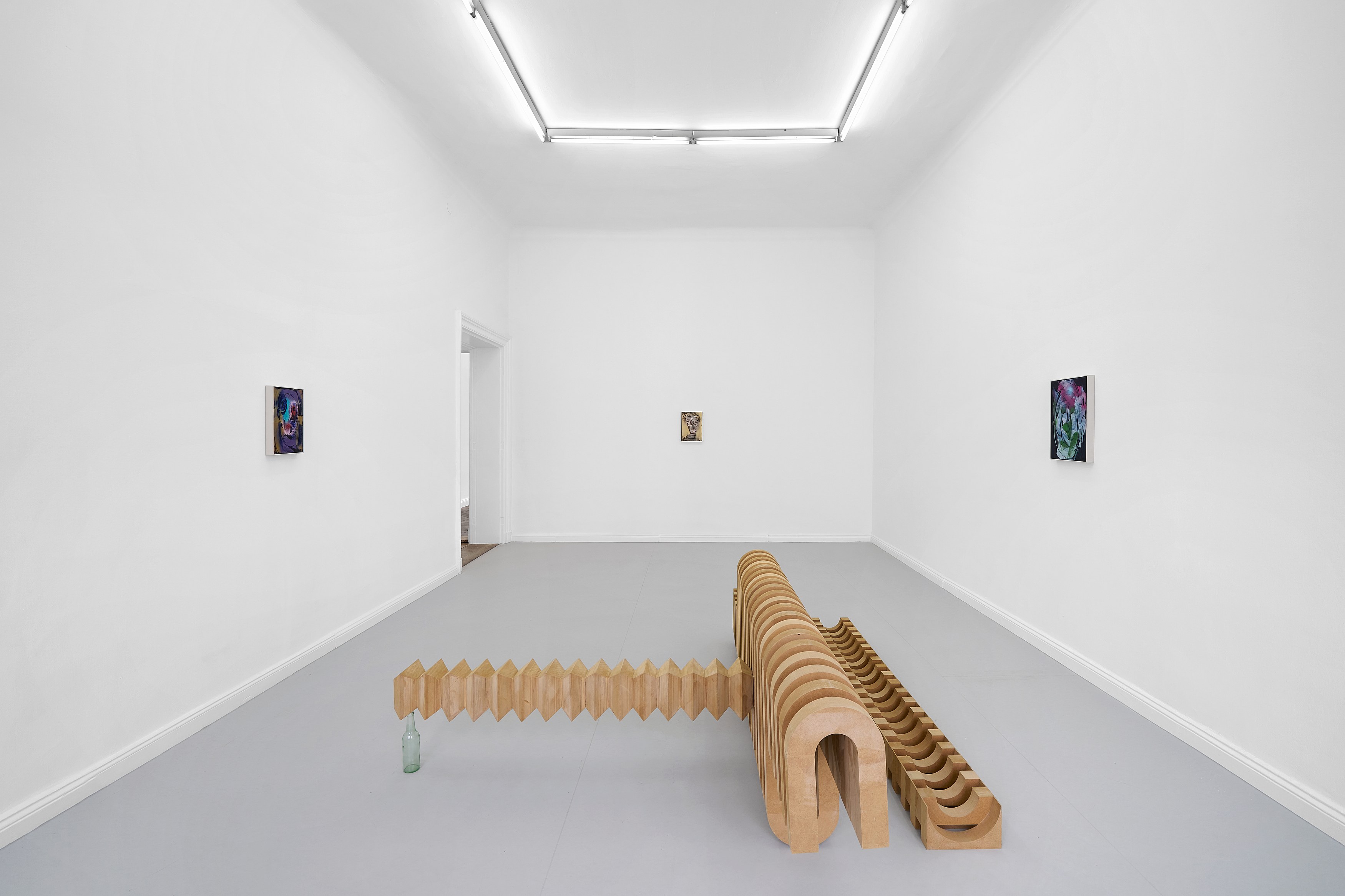 Leunora Salihu, Albrecht Schnider, A Plant. A Person. A Life. at Galerie Thomas Schulte, photo 7