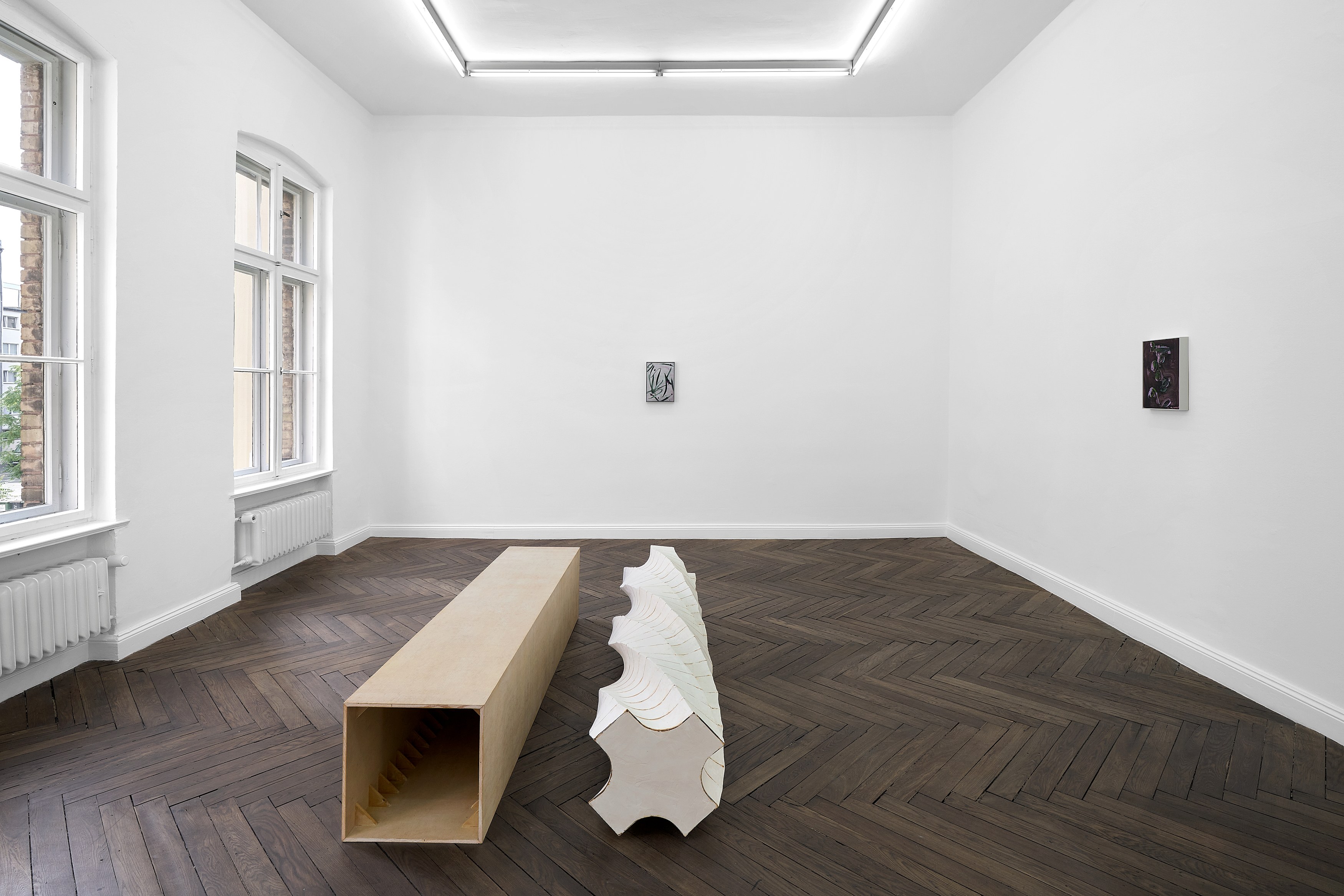 Leunora Salihu, Albrecht Schnider, A Plant. A Person. A Life. at Galerie Thomas Schulte, photo 10