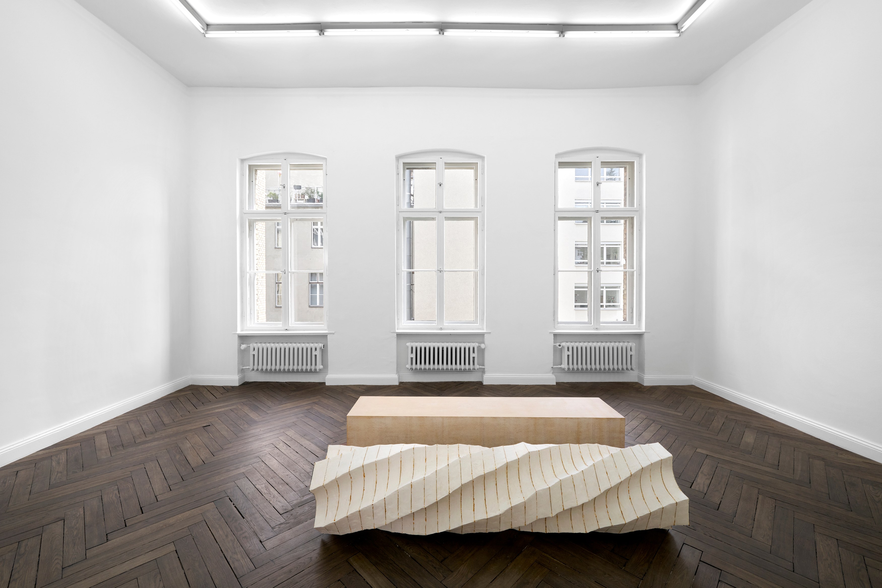 Leunora Salihu, Albrecht Schnider, A Plant. A Person. A Life. at Galerie Thomas Schulte, photo 12