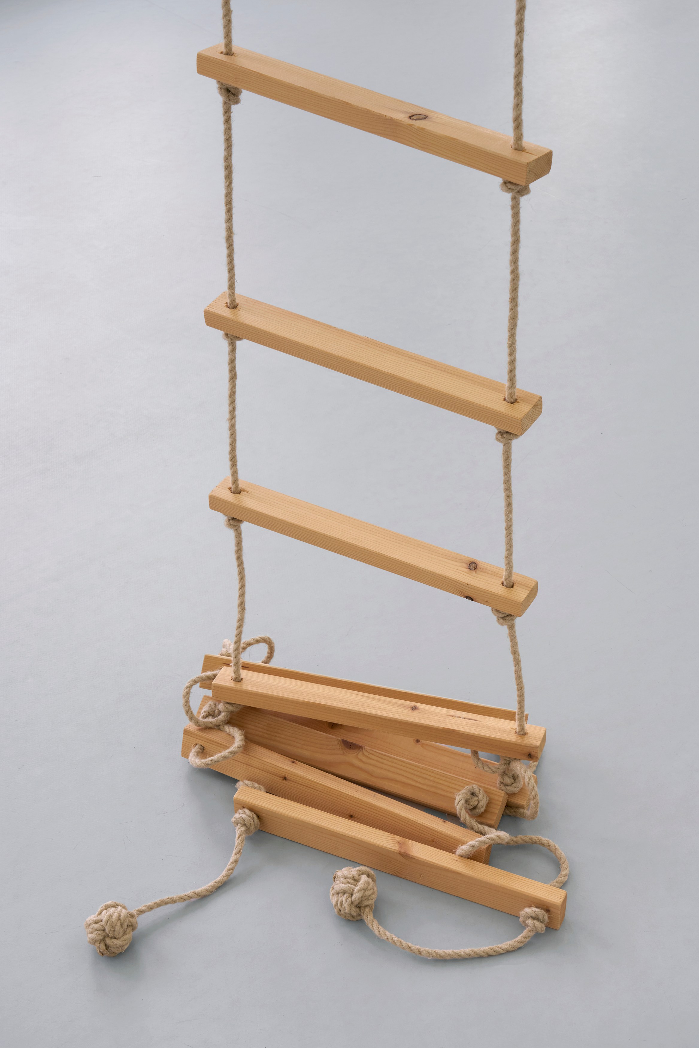 Leunora Salihu, Albrecht Schnider, A Plant. A Person. A Life. at Galerie Thomas Schulte, photo 15