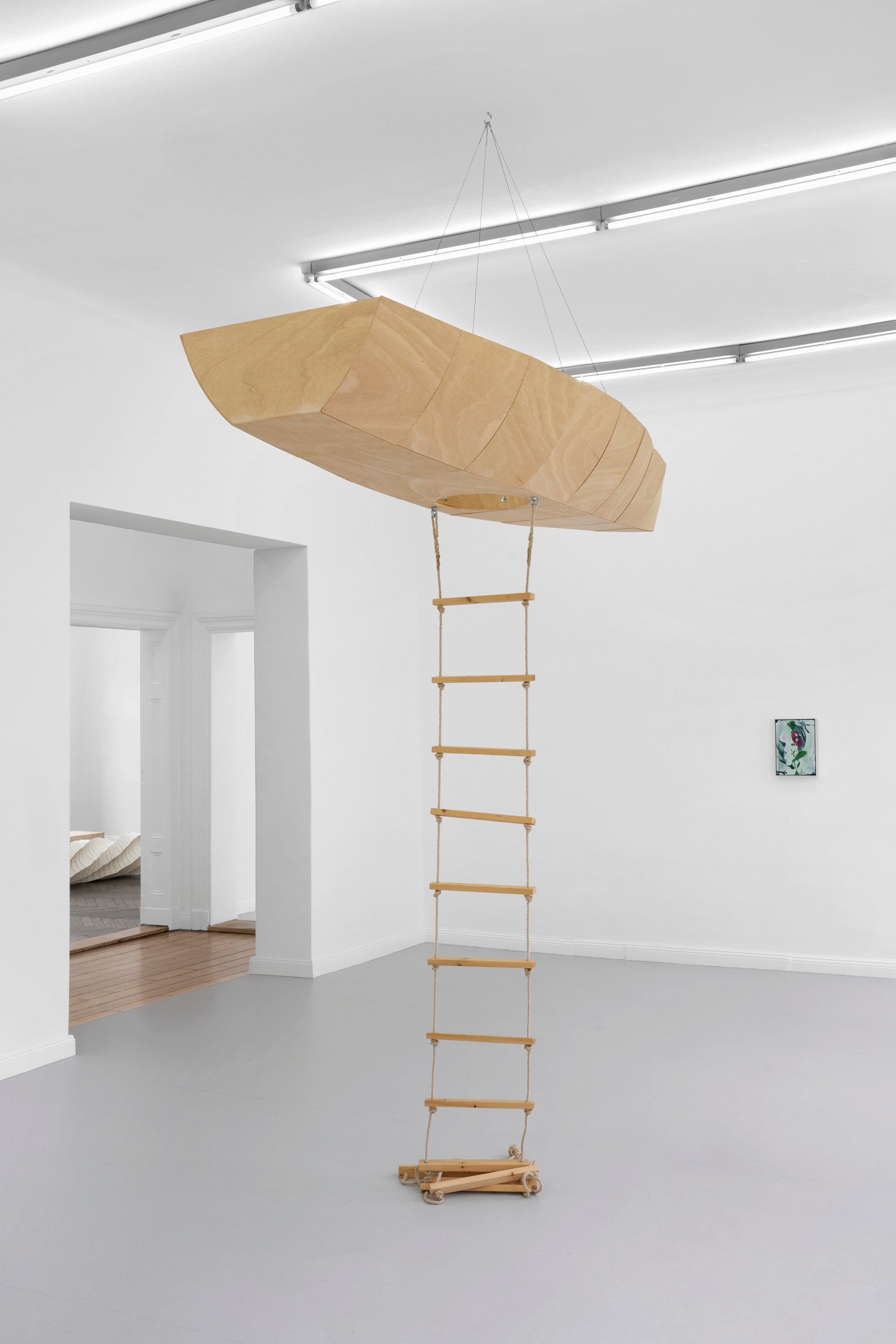 Leunora Salihu, Albrecht Schnider, A Plant. A Person. A Life. at Galerie Thomas Schulte, photo 16