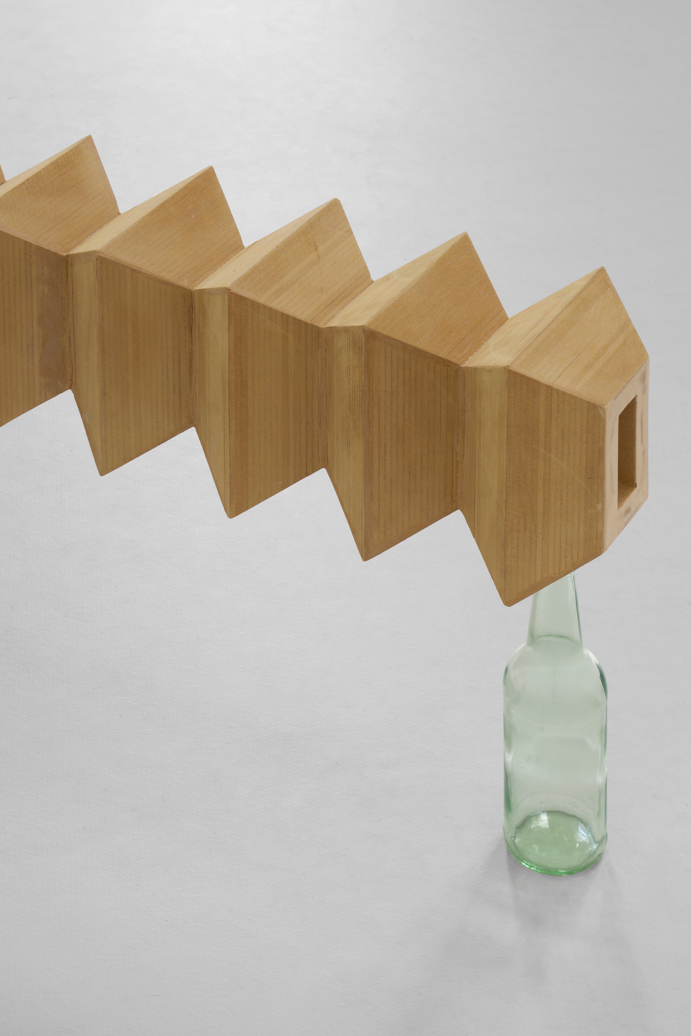 Leunora Salihu, Albrecht Schnider, A Plant. A Person. A Life. at Galerie Thomas Schulte, photo 18