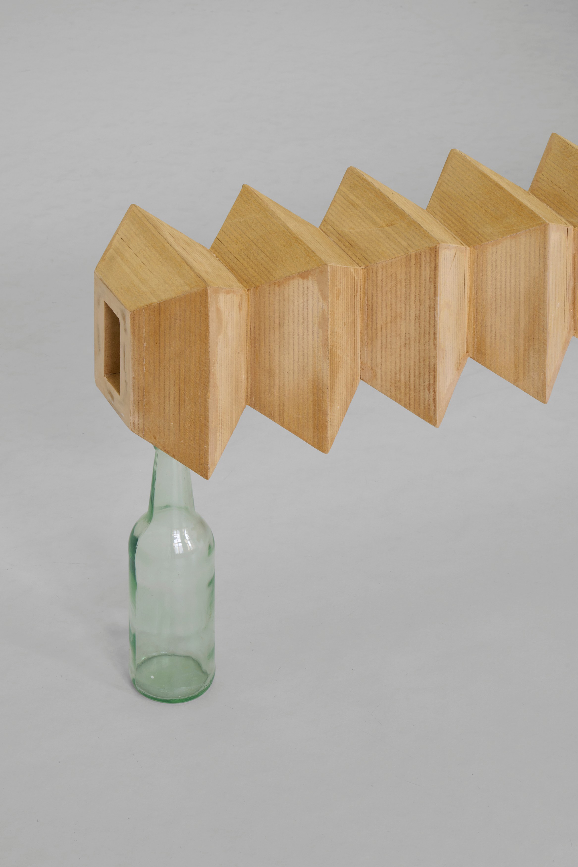 Leunora Salihu, Albrecht Schnider, A Plant. A Person. A Life. at Galerie Thomas Schulte, photo 19
