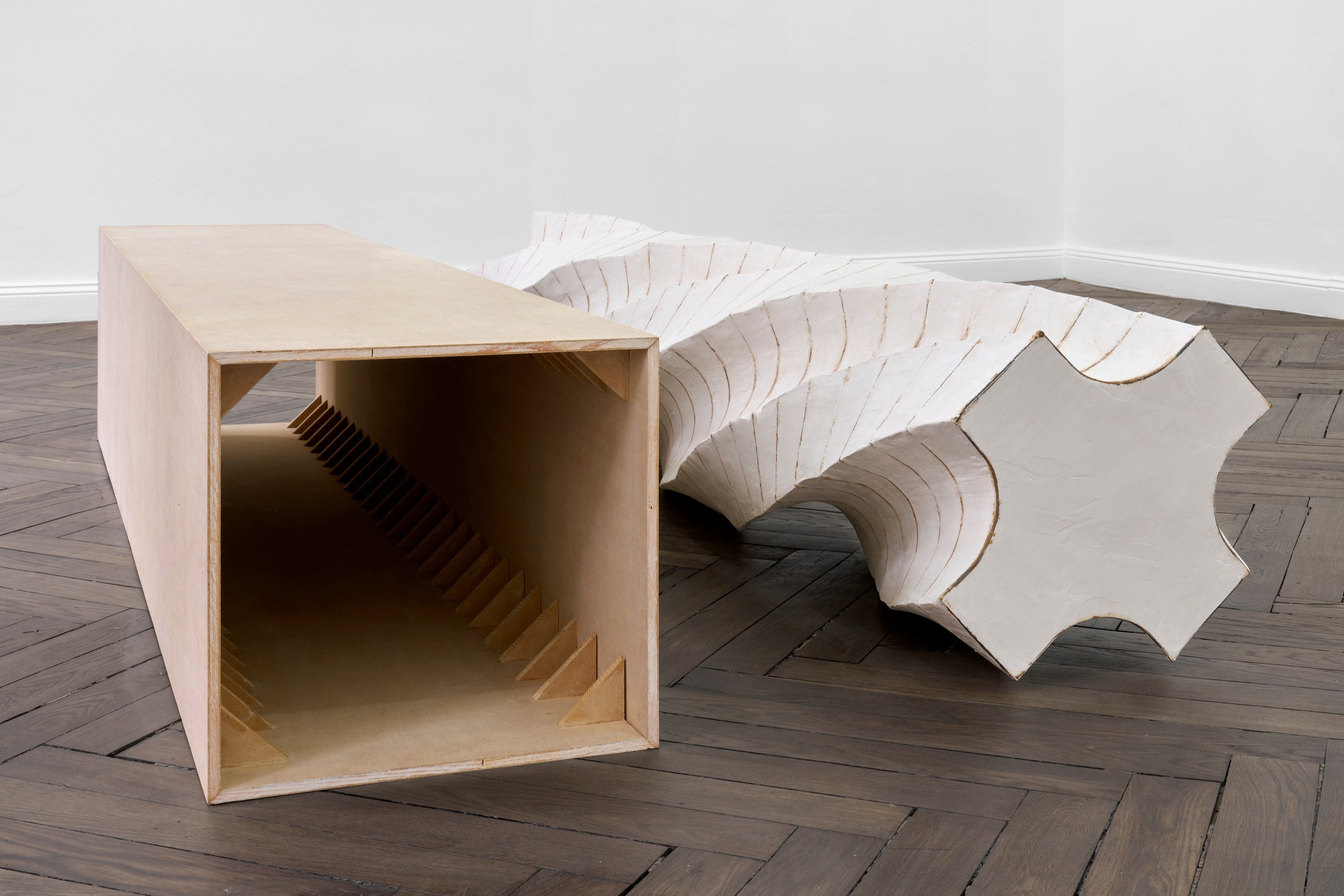 Leunora Salihu, Albrecht Schnider, A Plant. A Person. A Life. at Galerie Thomas Schulte, photo 21