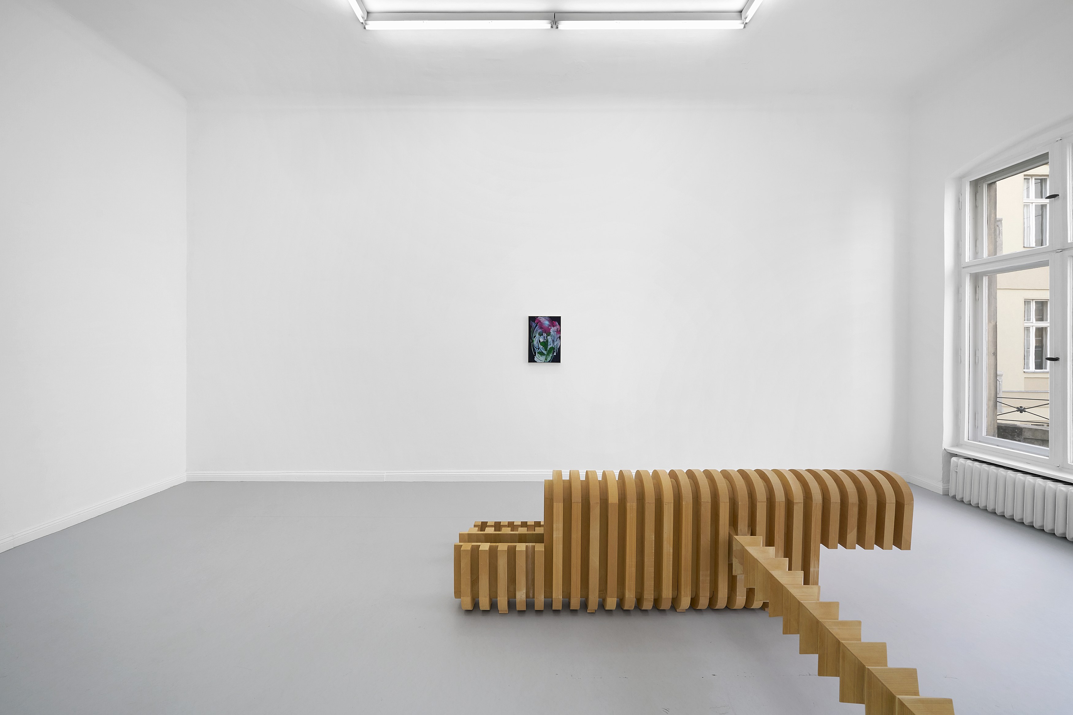 Leunora Salihu, Albrecht Schnider, A Plant. A Person. A Life. at Galerie Thomas Schulte, photo 8