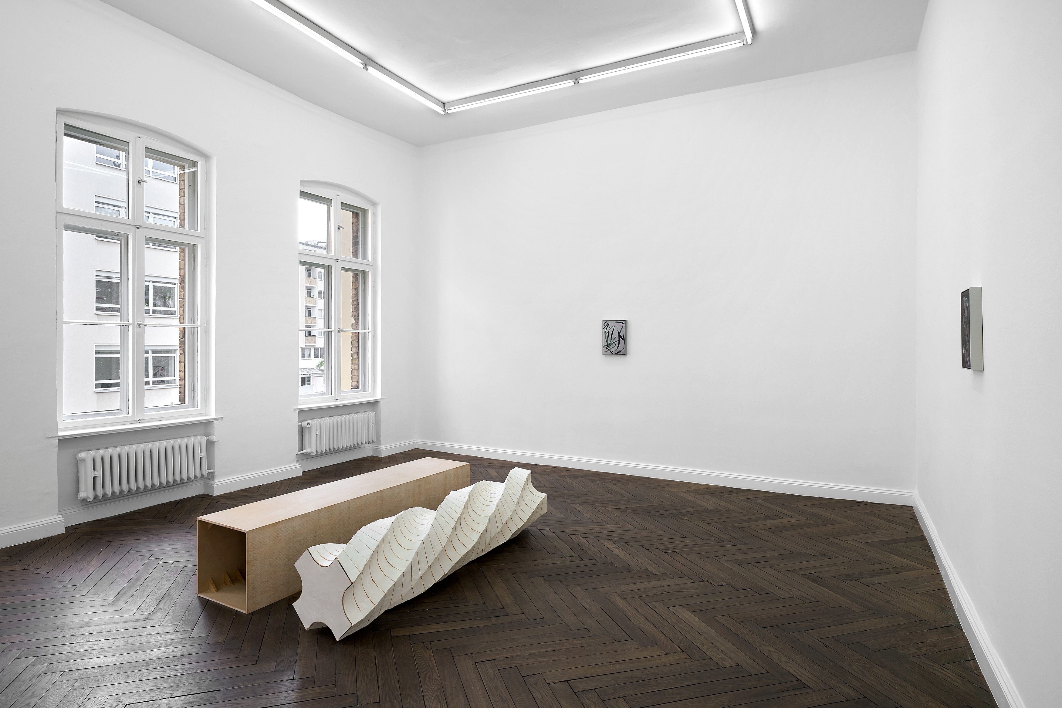 Leunora Salihu, Albrecht Schnider, A Plant. A Person. A Life. at Galerie Thomas Schulte, photo 9