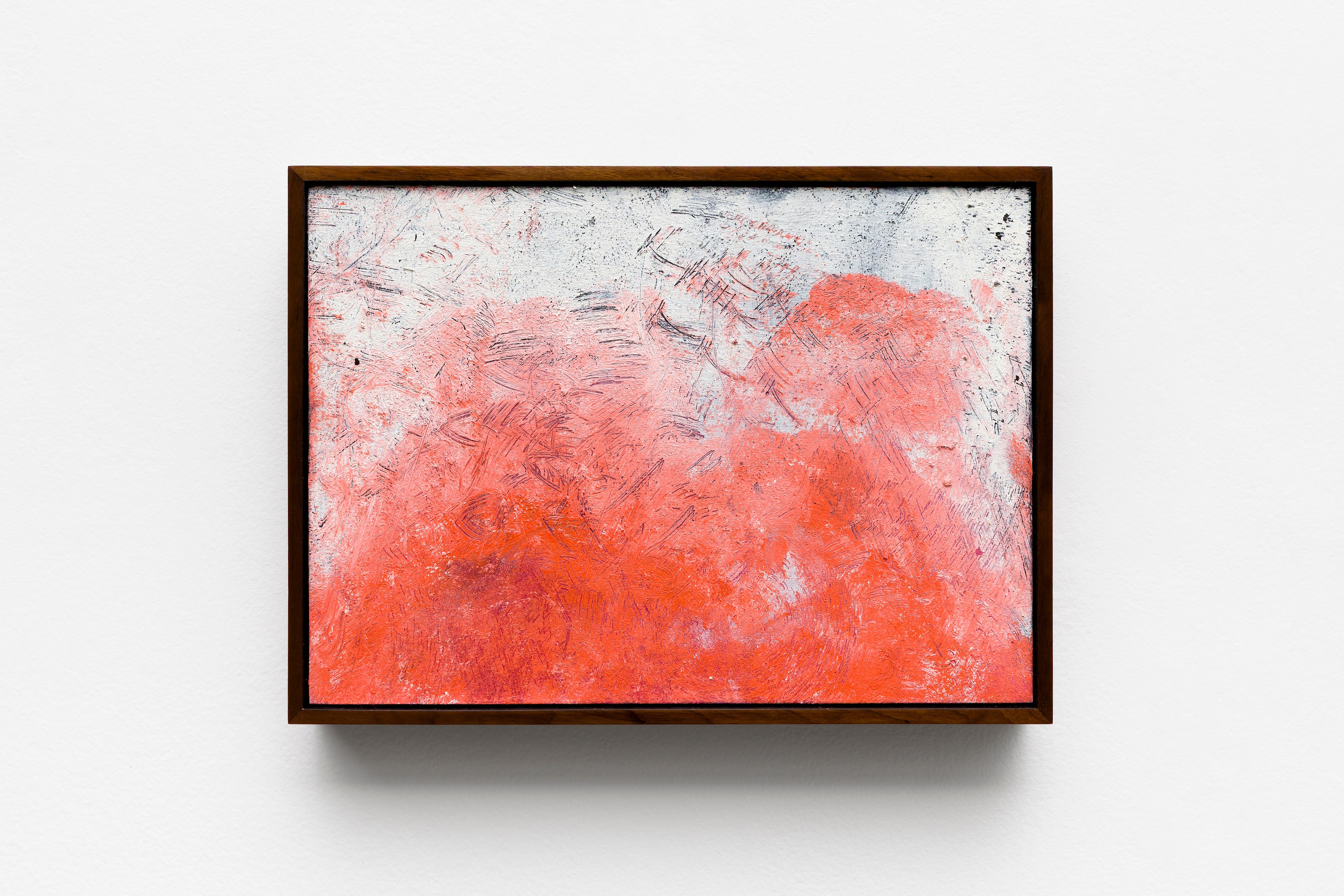 Adriano Costa, image 31 of 44