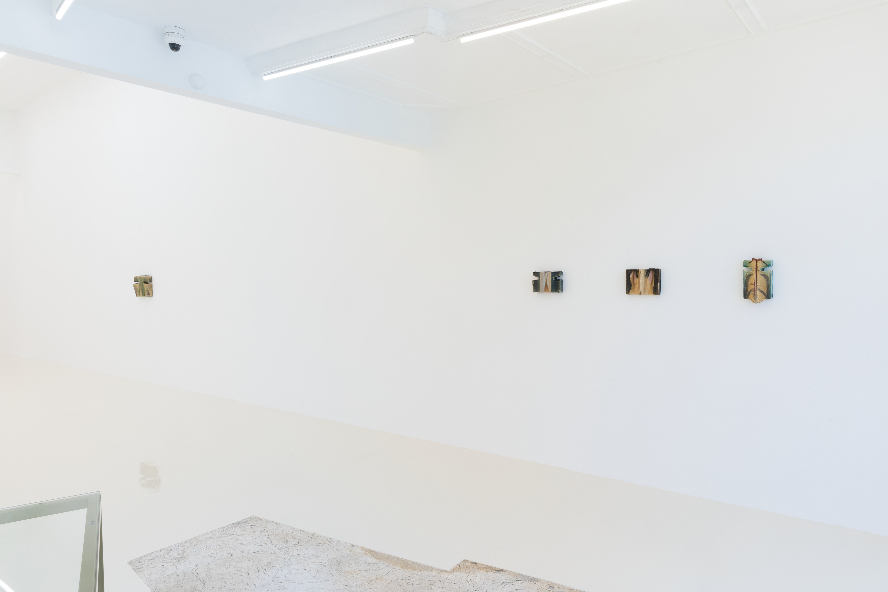 CrossLypka, In the opening at Chris Sharp Gallery, photo 11