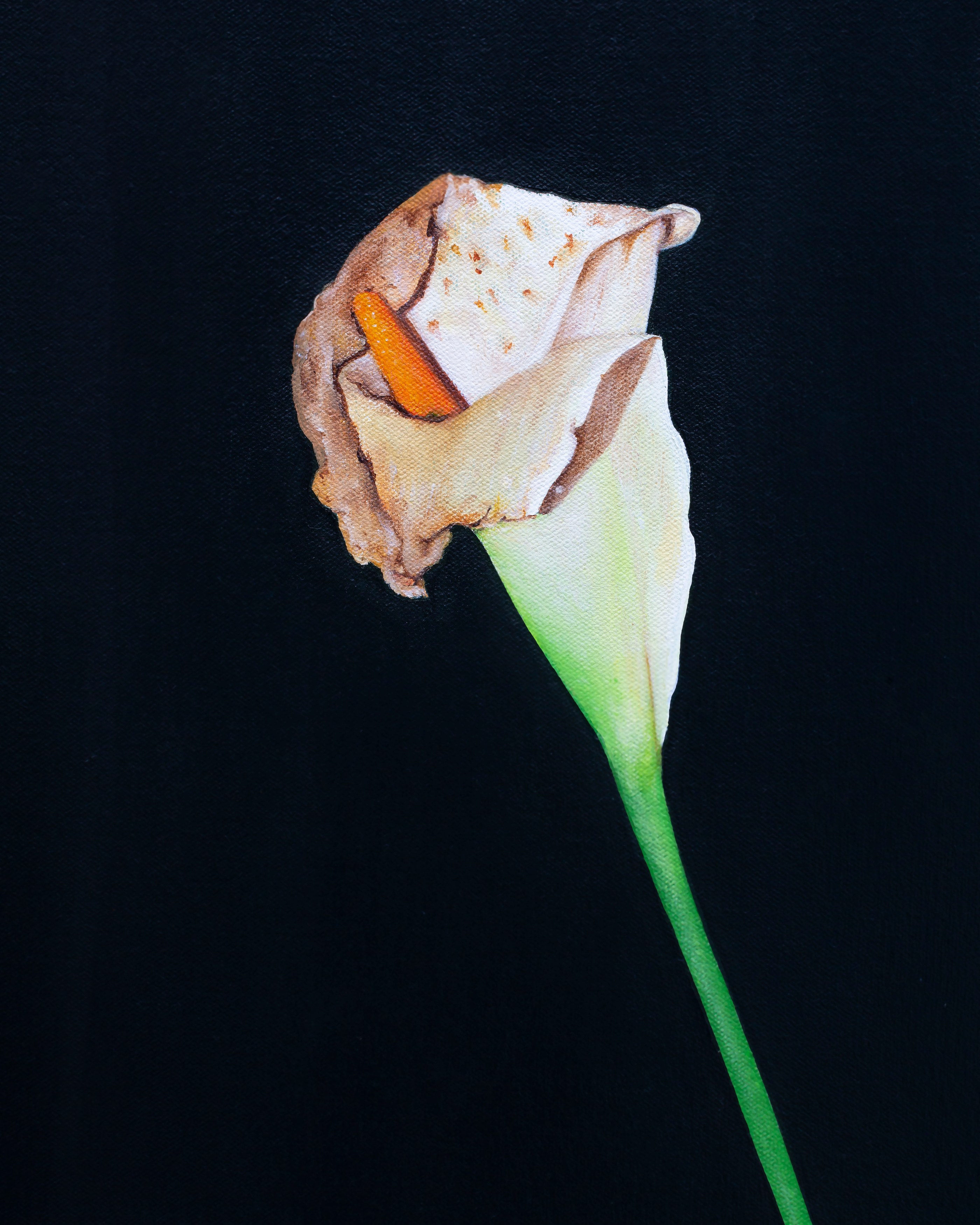 Kim Dingle, Ranee Henderson, Blindfolded at Phase Gallery, photo 17