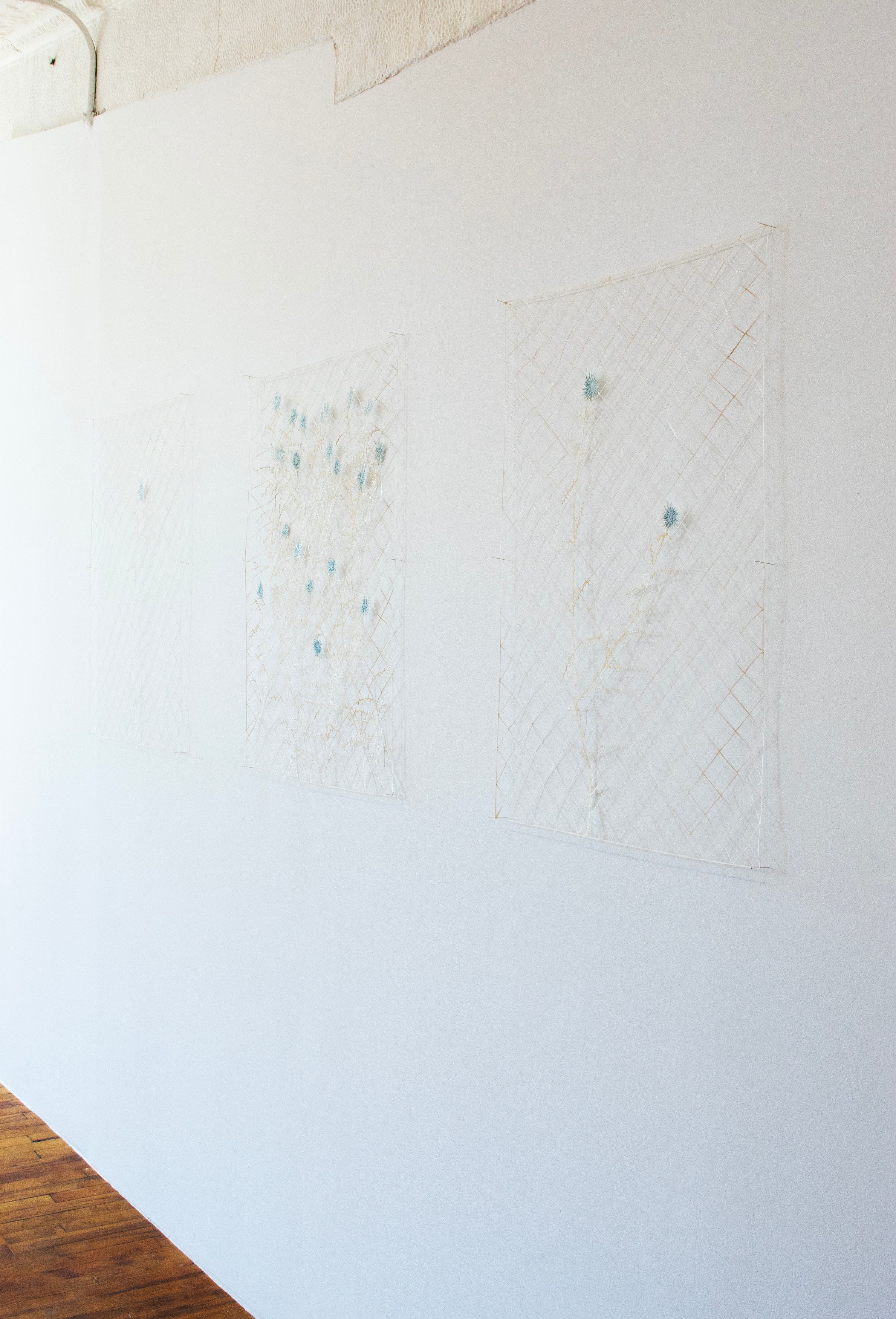 flicker / reform / dissolve, image 2 of 50