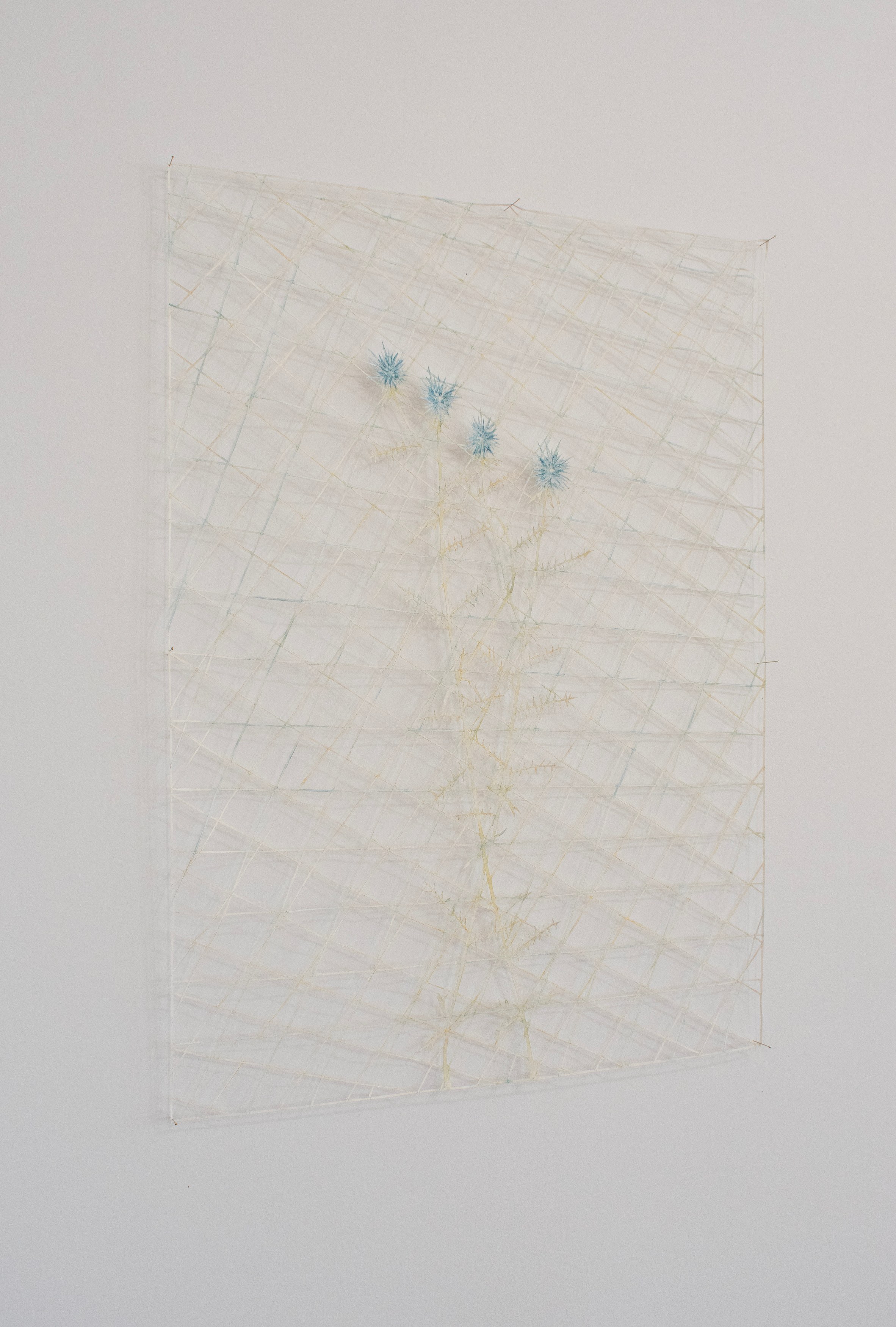 flicker / reform / dissolve, image 16 of 50