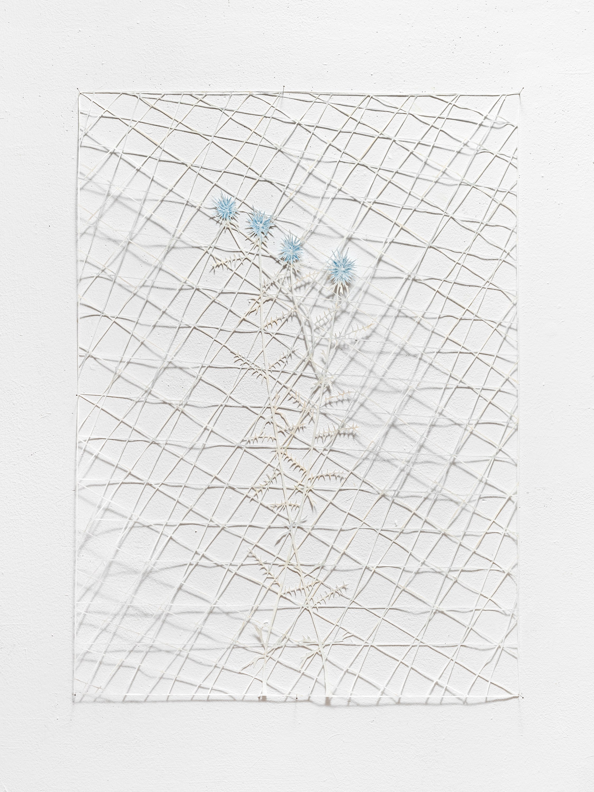 flicker / reform / dissolve, image 29 of 50