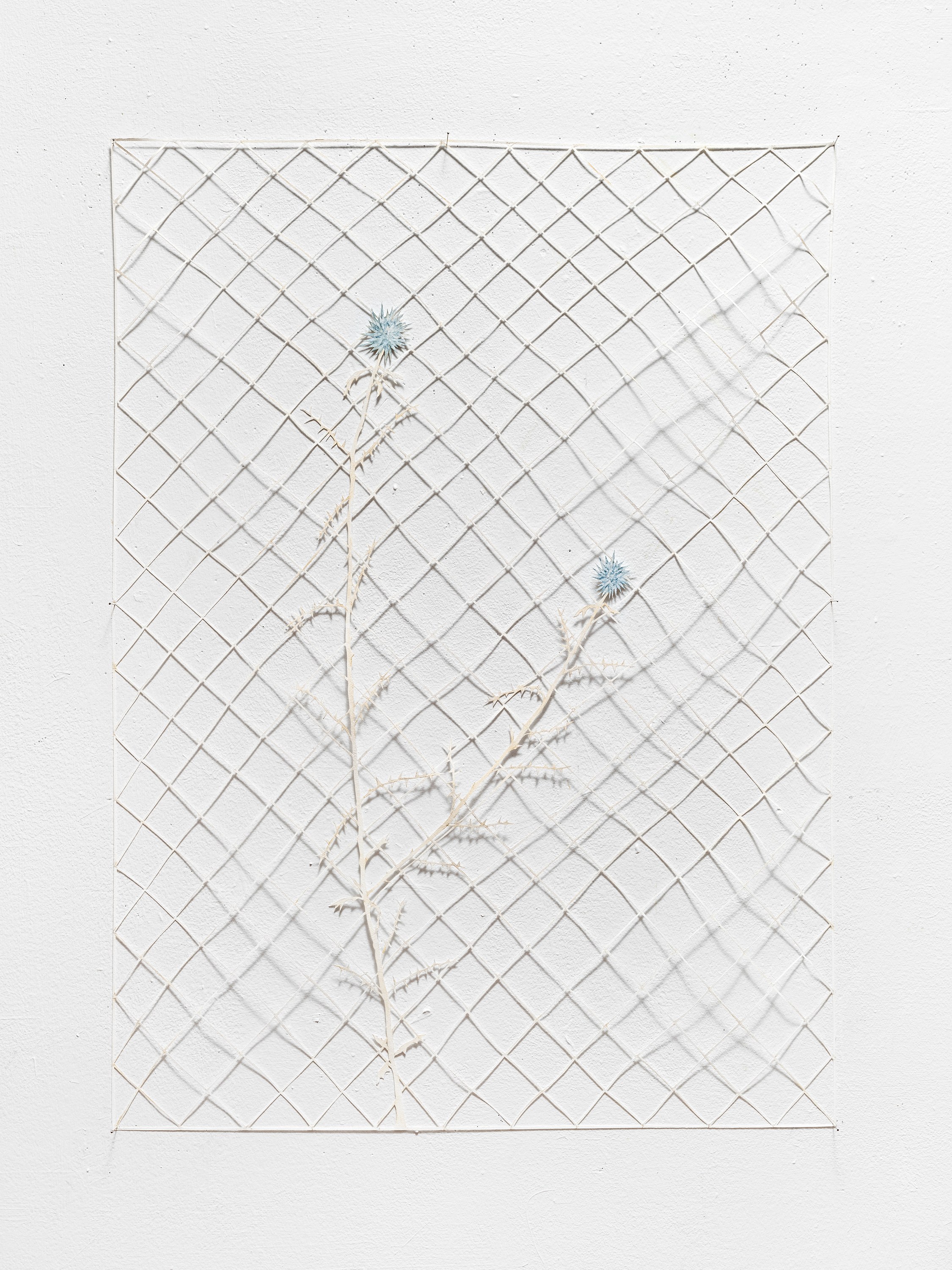 flicker / reform / dissolve, image 31 of 50
