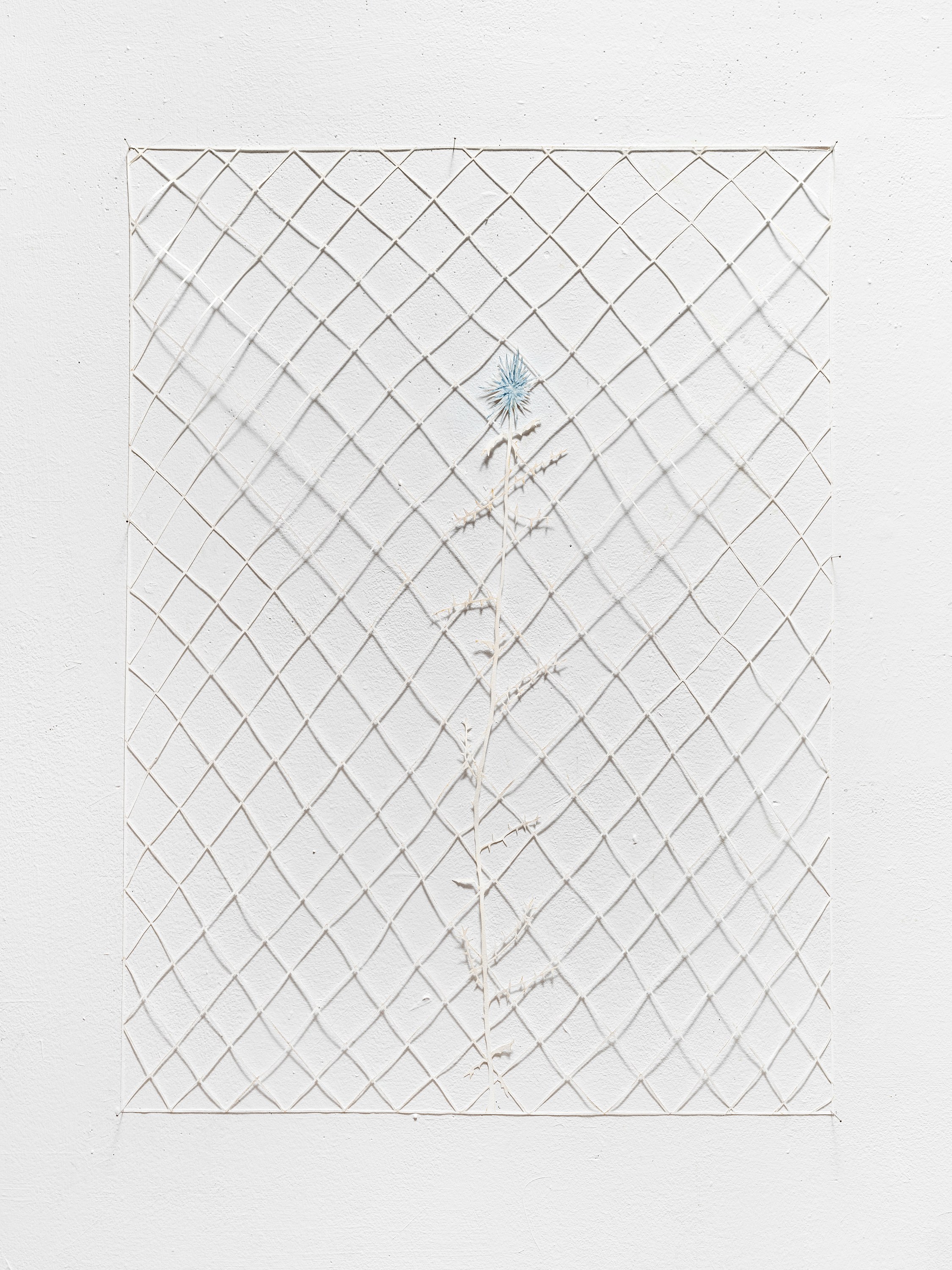 flicker / reform / dissolve, image 32 of 50