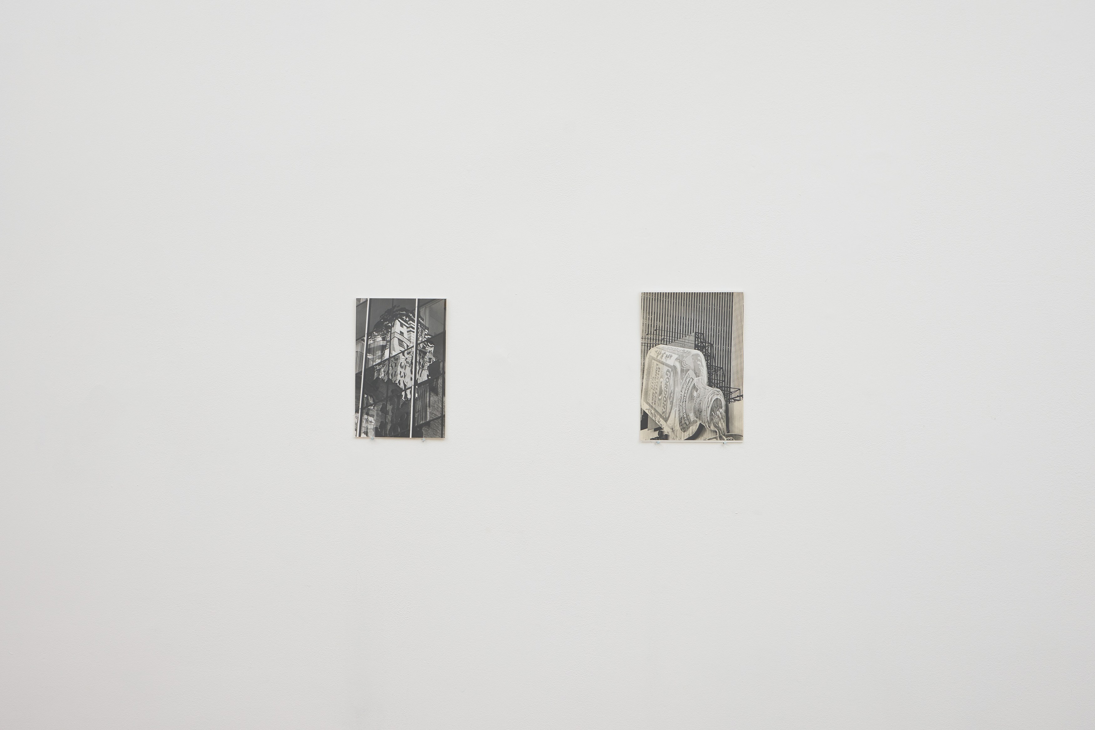 Diane A., Diane A. at Arcadia Missa, photo 8