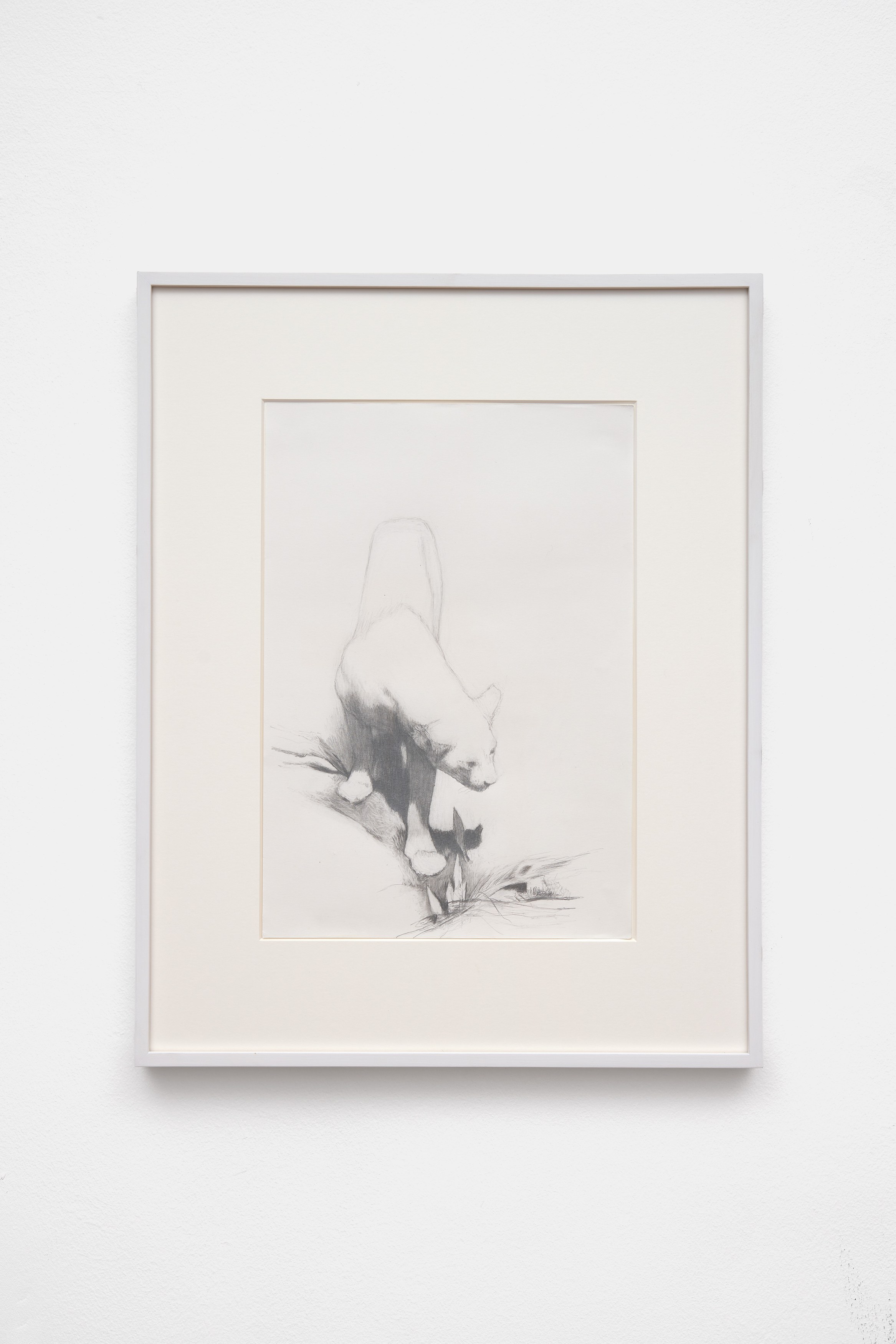 Diane A., Diane A. at Arcadia Missa, photo 47