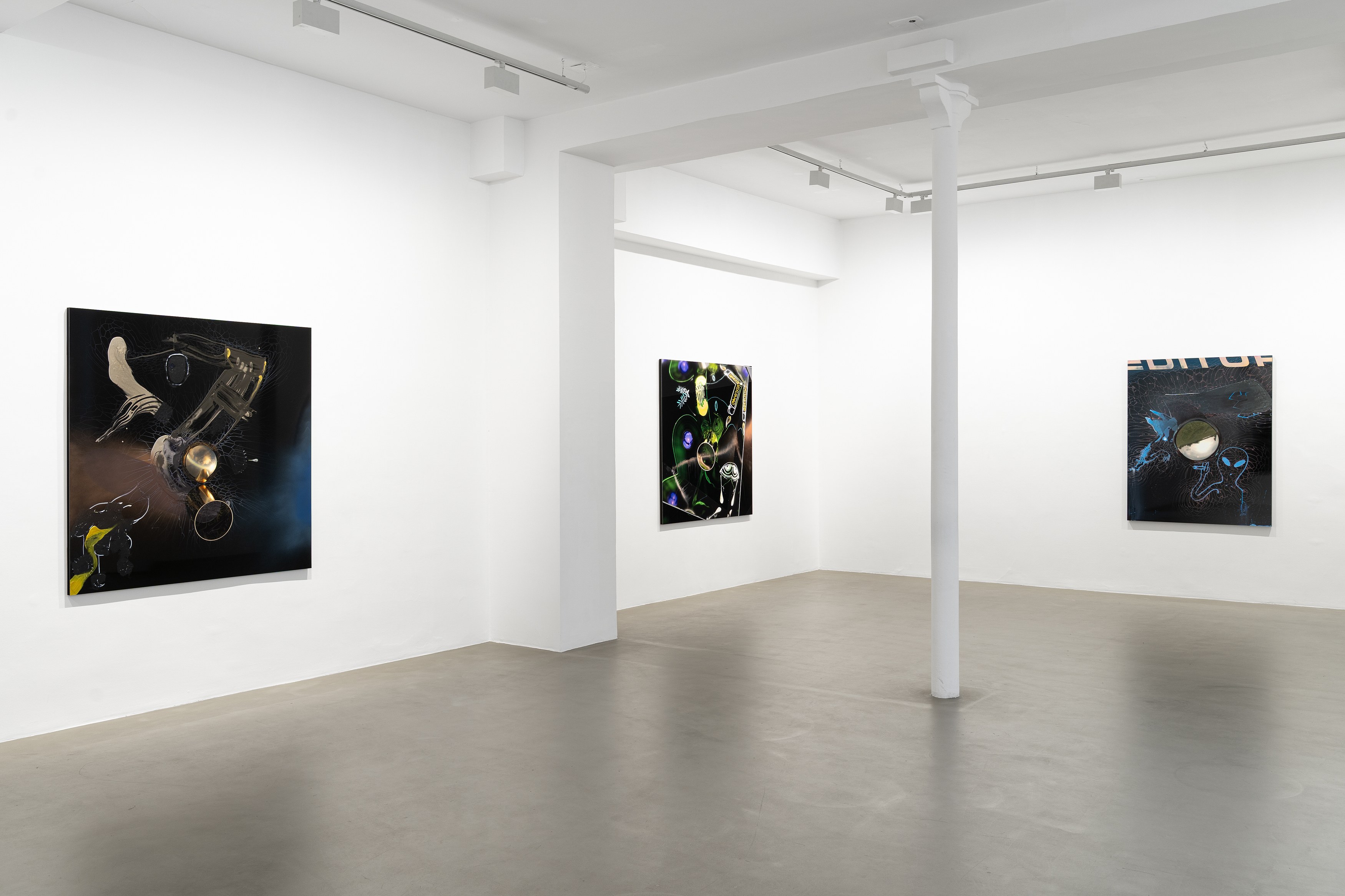 Seth Price, Free Fall at Galerie Chantal Crousel, photo 4