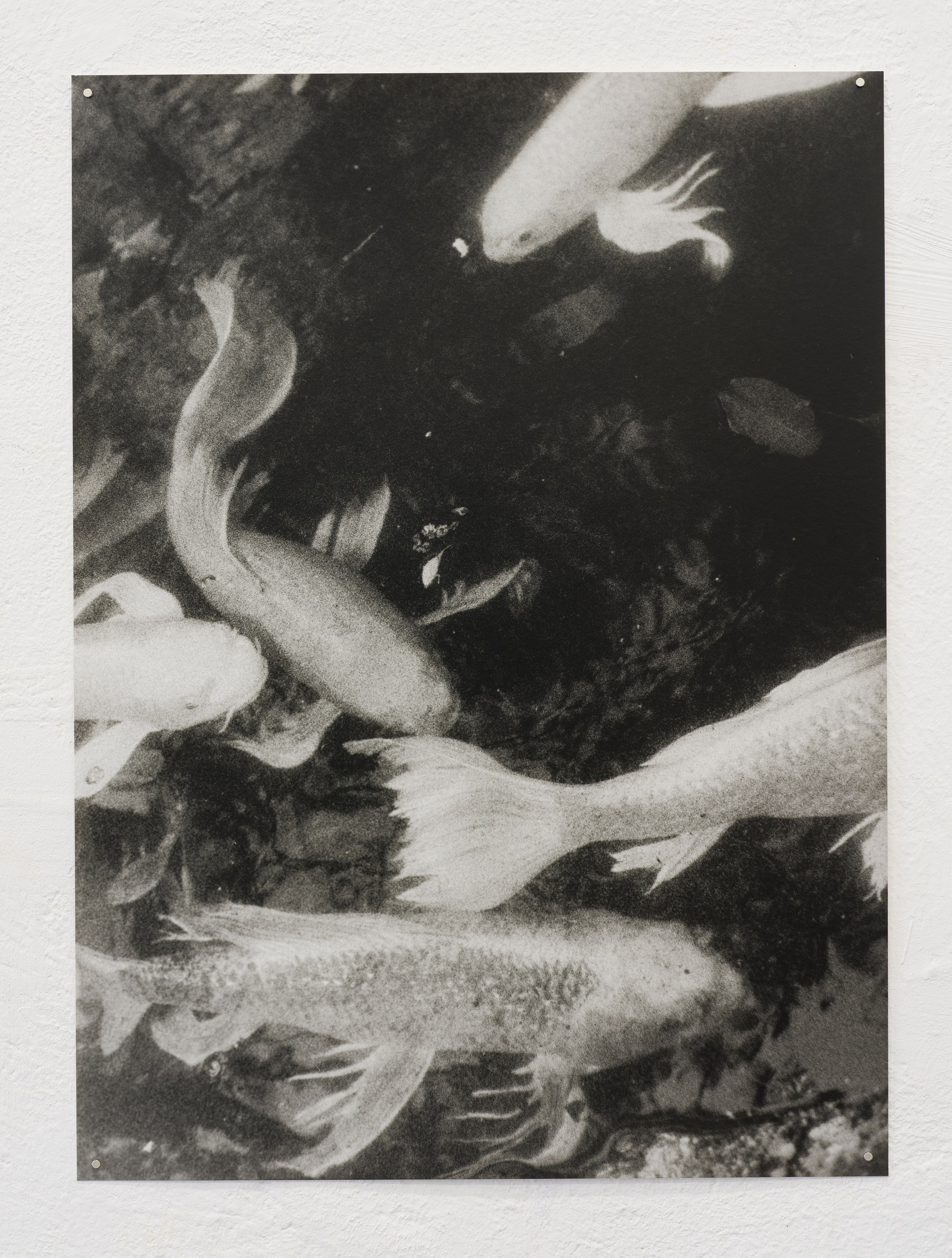 Hanayo, Untitled at Scheusal, photo 11