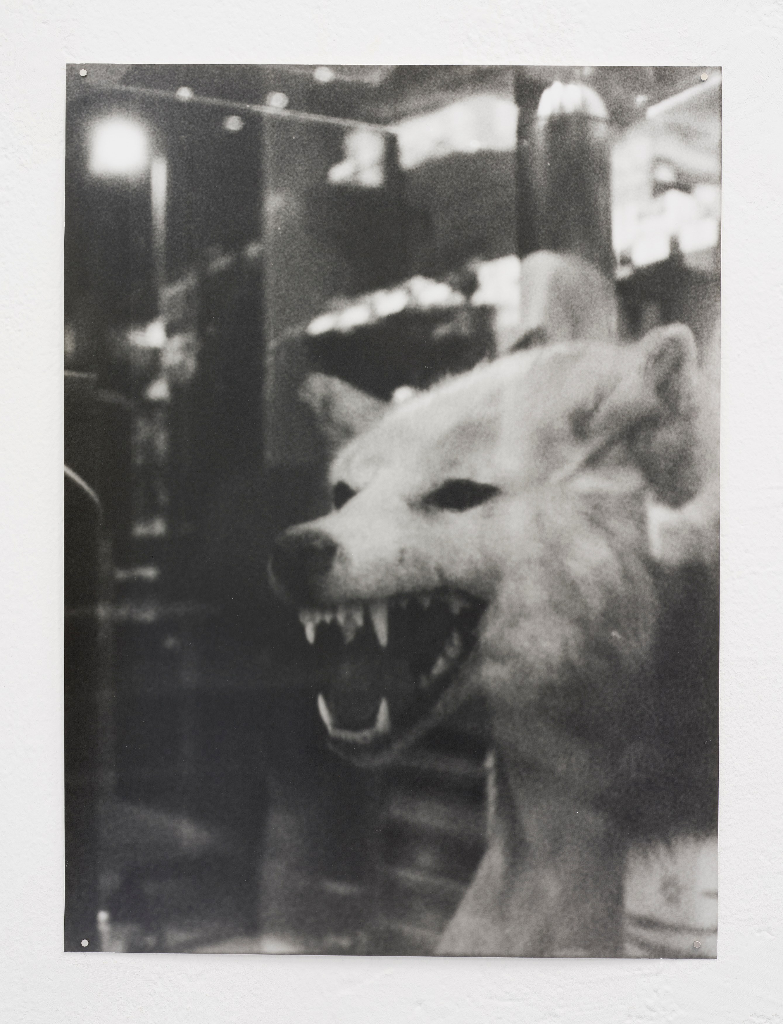 Hanayo, Untitled at Scheusal, photo 15