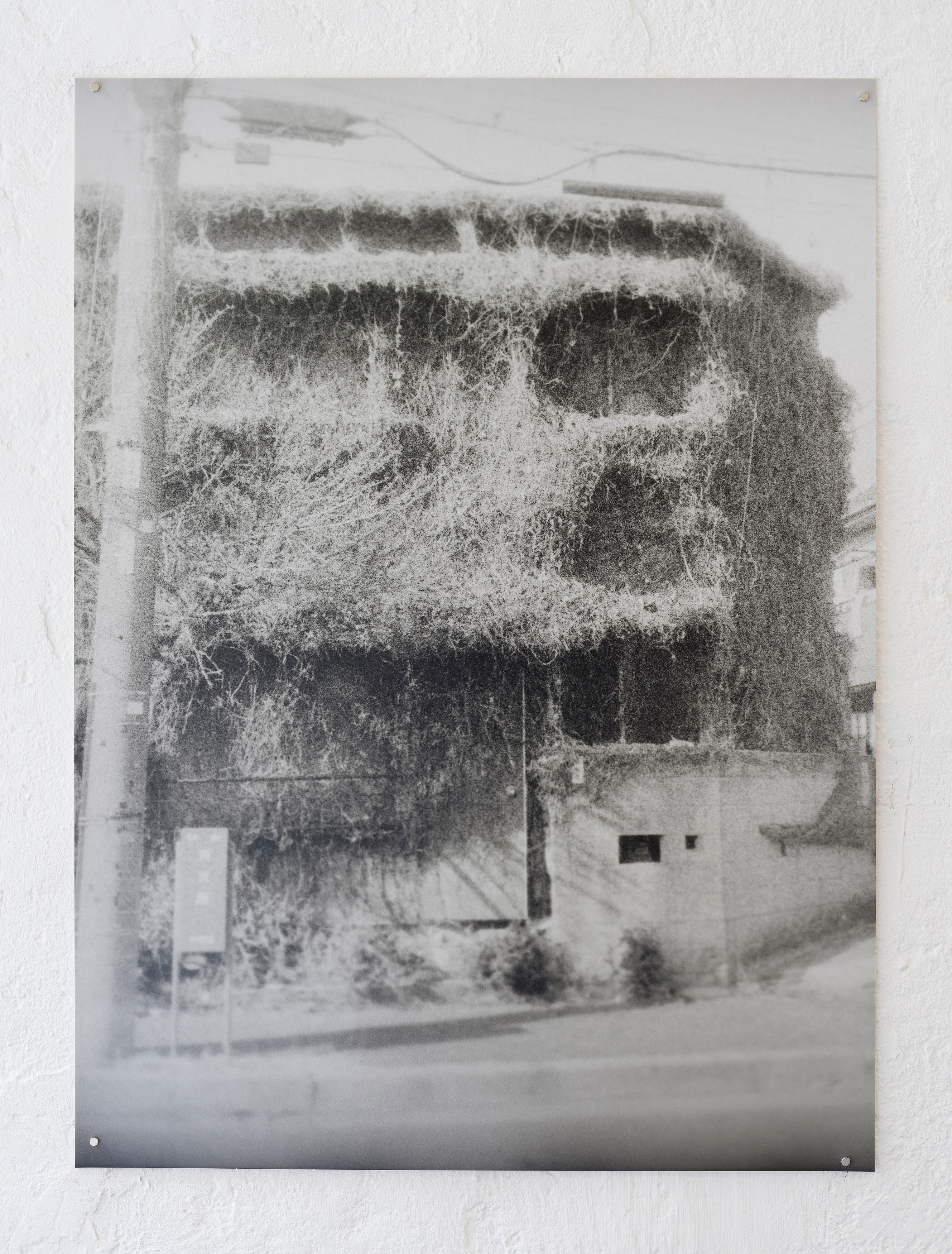 Hanayo, Untitled at Scheusal, photo 16