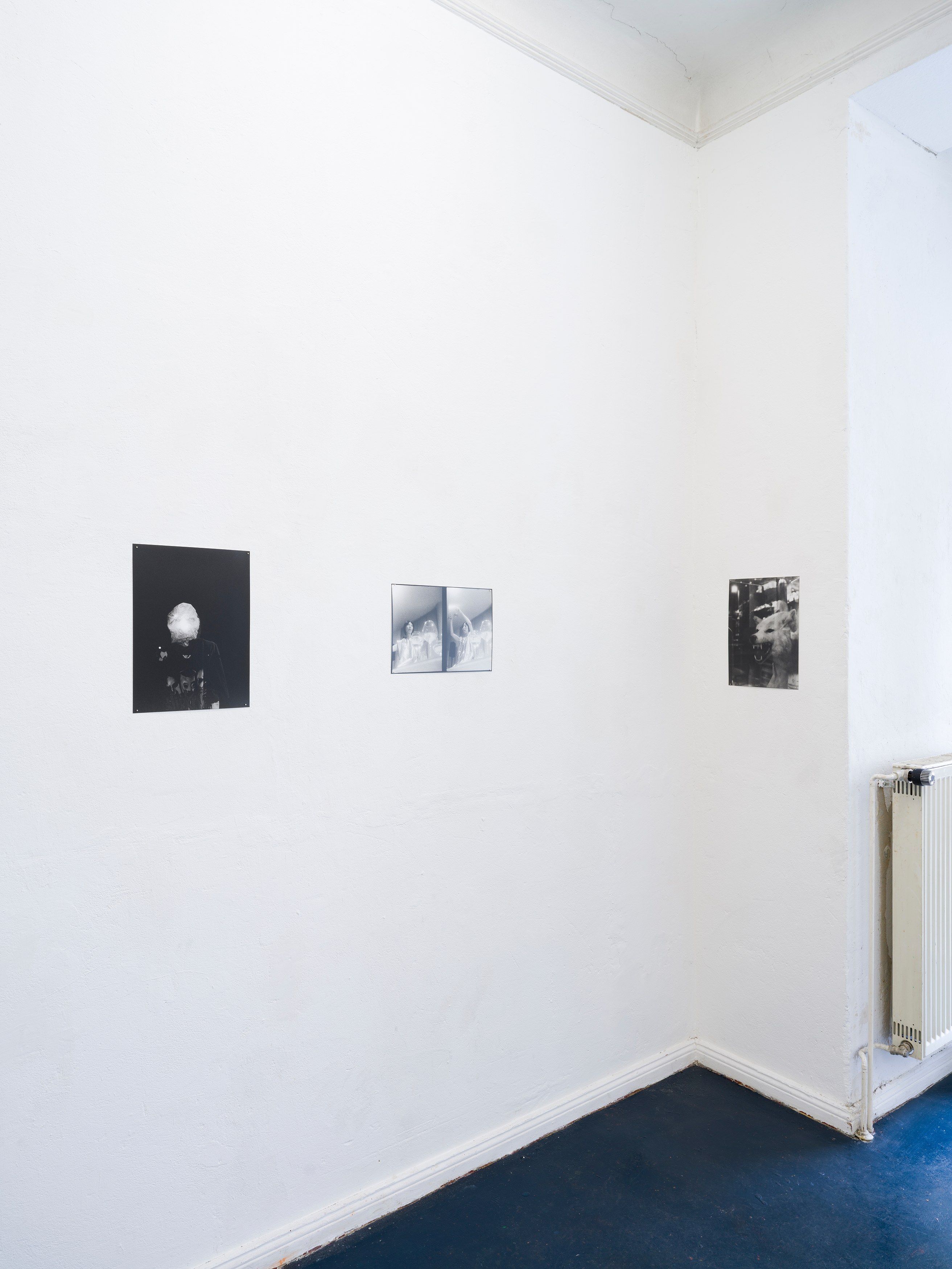 Hanayo, Untitled at Scheusal, photo 6