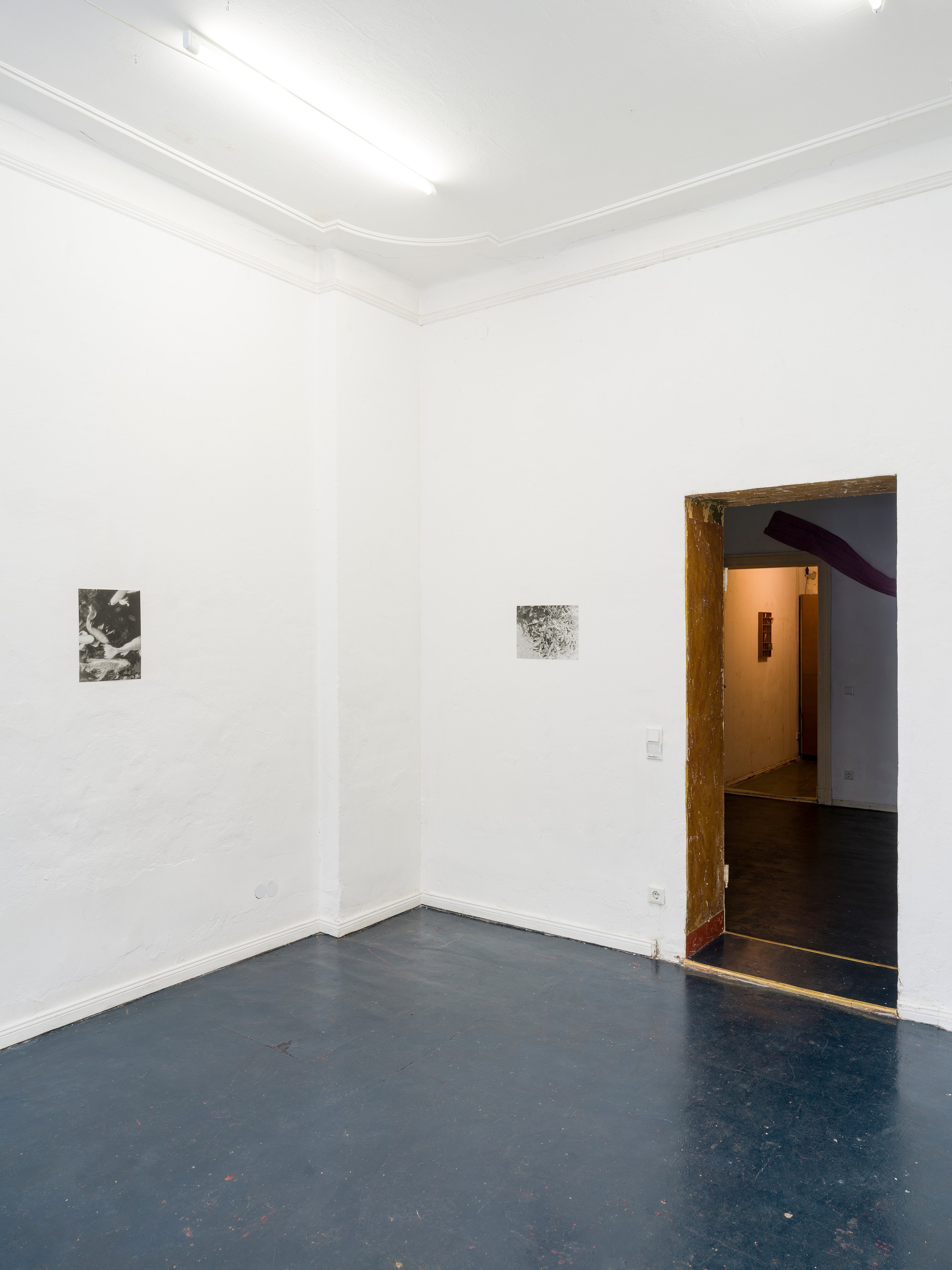 Hanayo, Untitled at Scheusal, photo 7