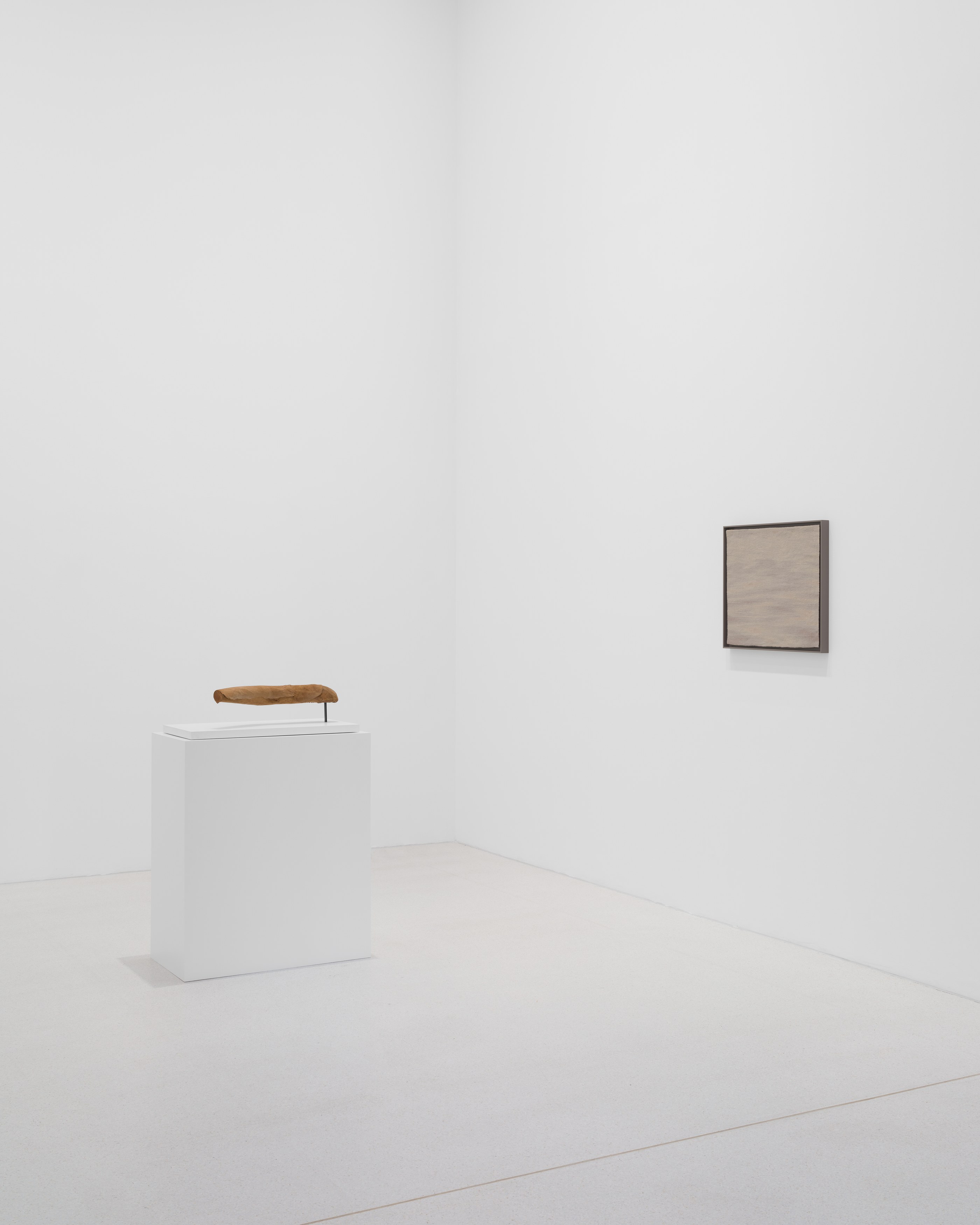Anca Munteanu Rimnic, Treatise on Bruises at Galeria Plan B, photo 3