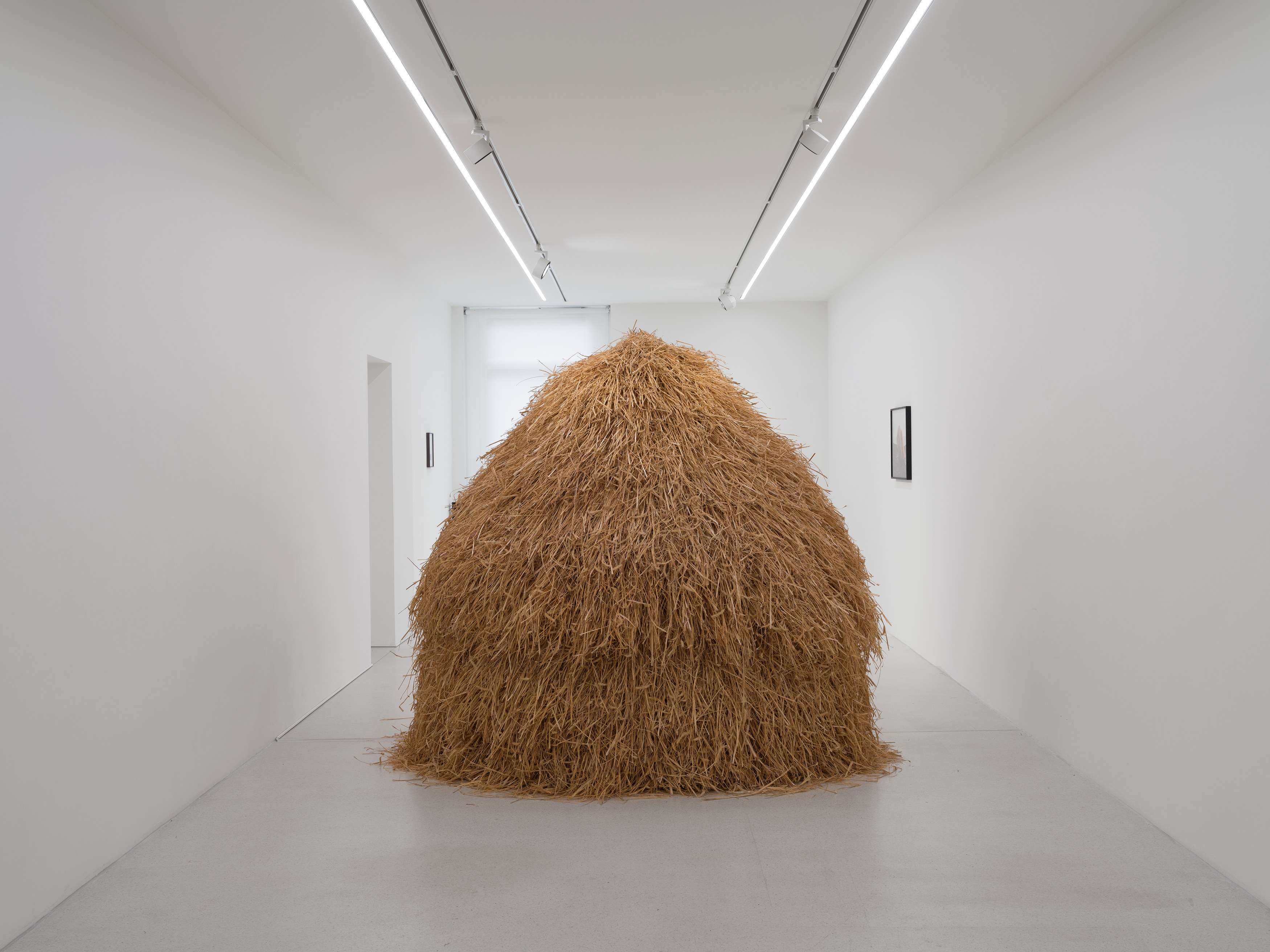 Anca Munteanu Rimnic, Treatise on Bruises at Galeria Plan B, photo 4