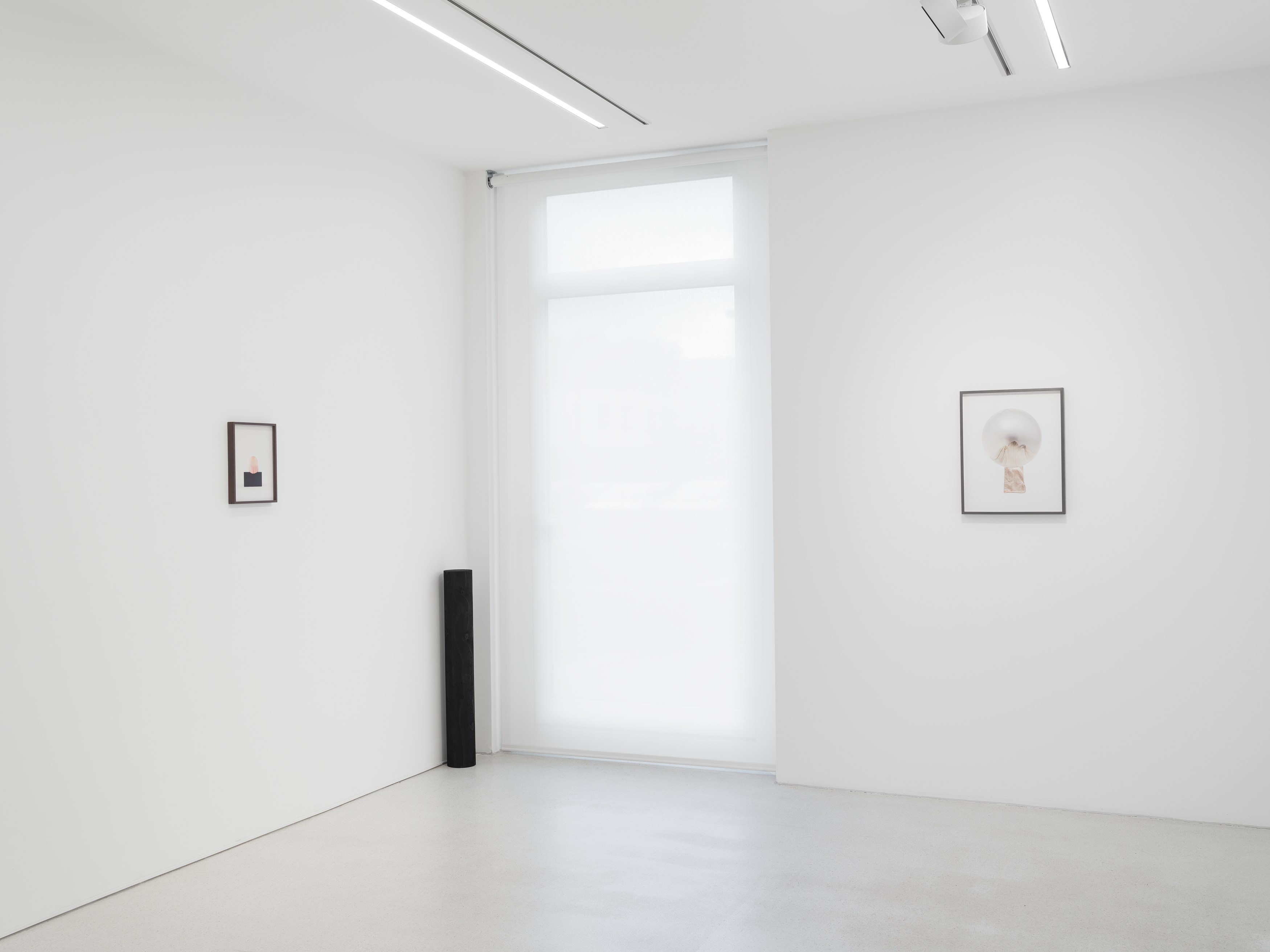 Anca Munteanu Rimnic, Treatise on Bruises at Galeria Plan B, photo 5
