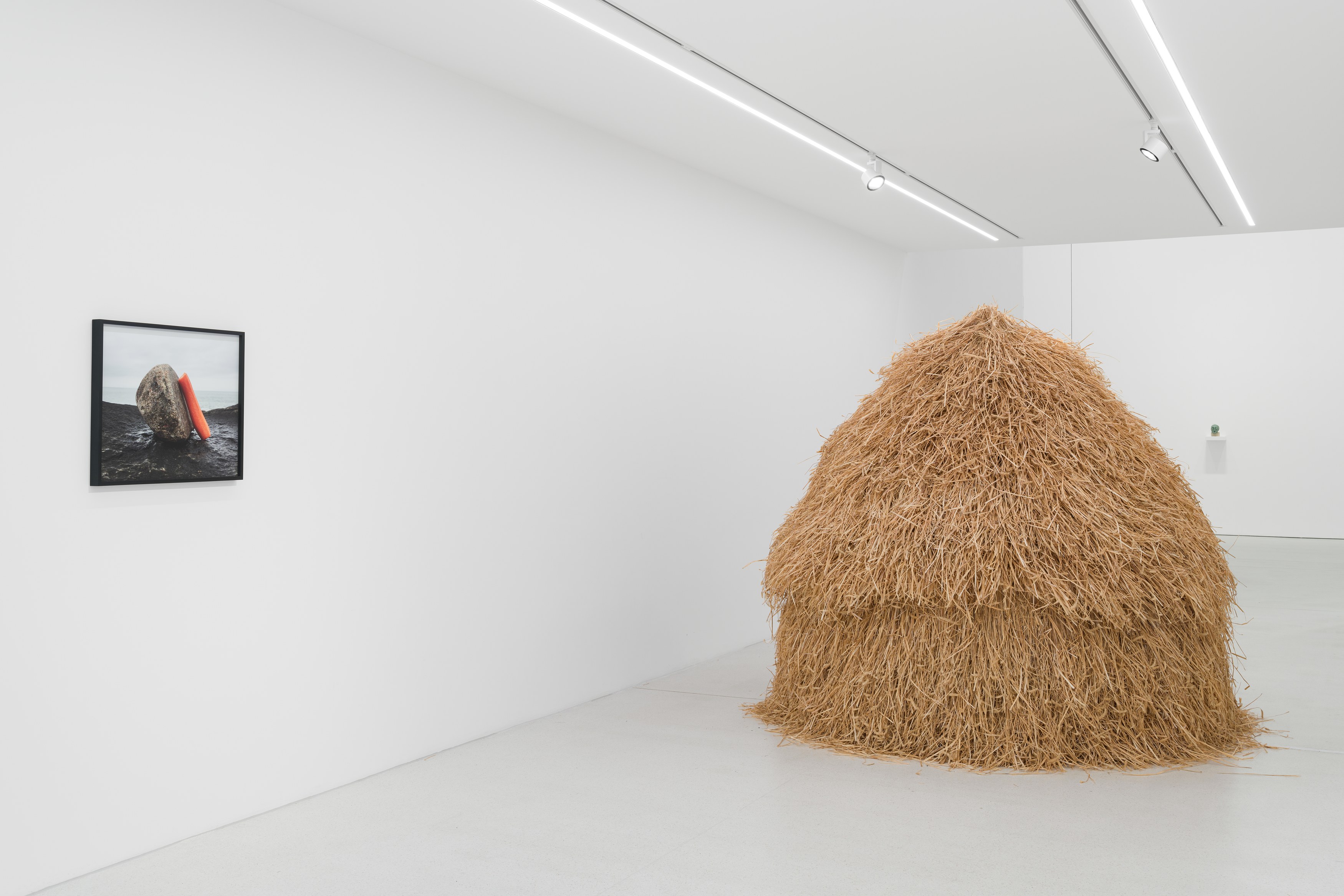 Anca Munteanu Rimnic, Treatise on Bruises at Galeria Plan B, photo 6