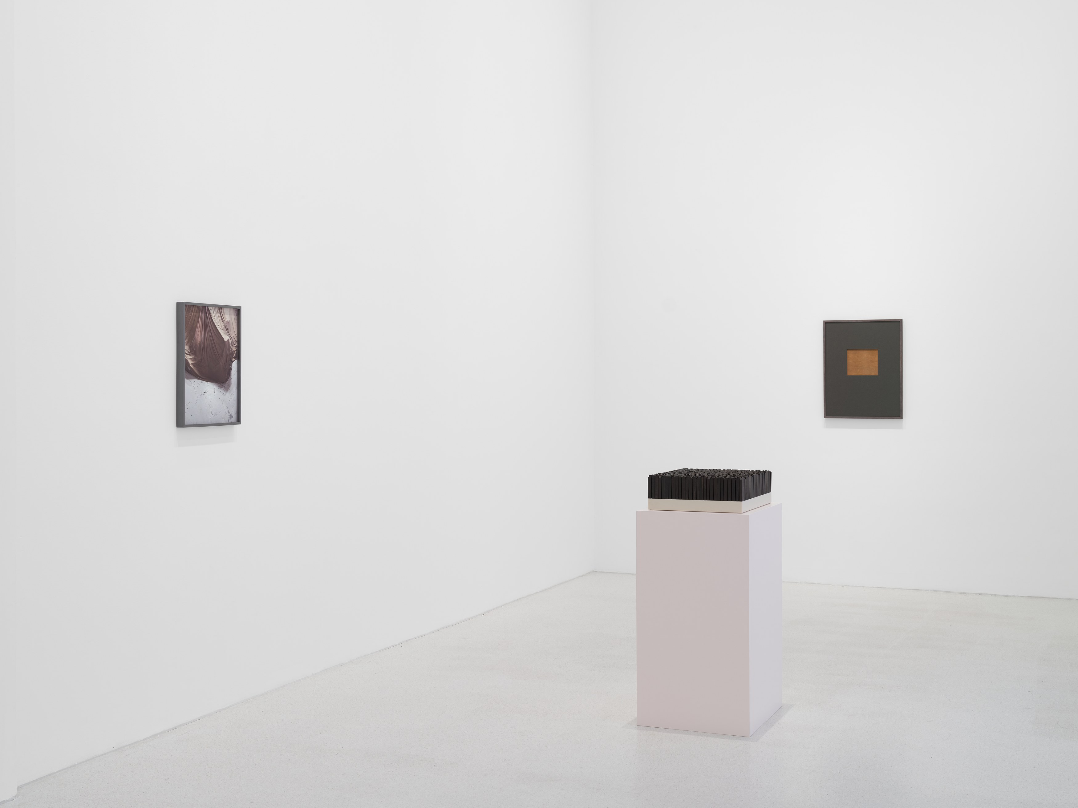 Anca Munteanu Rimnic, Treatise on Bruises at Galeria Plan B, photo 7