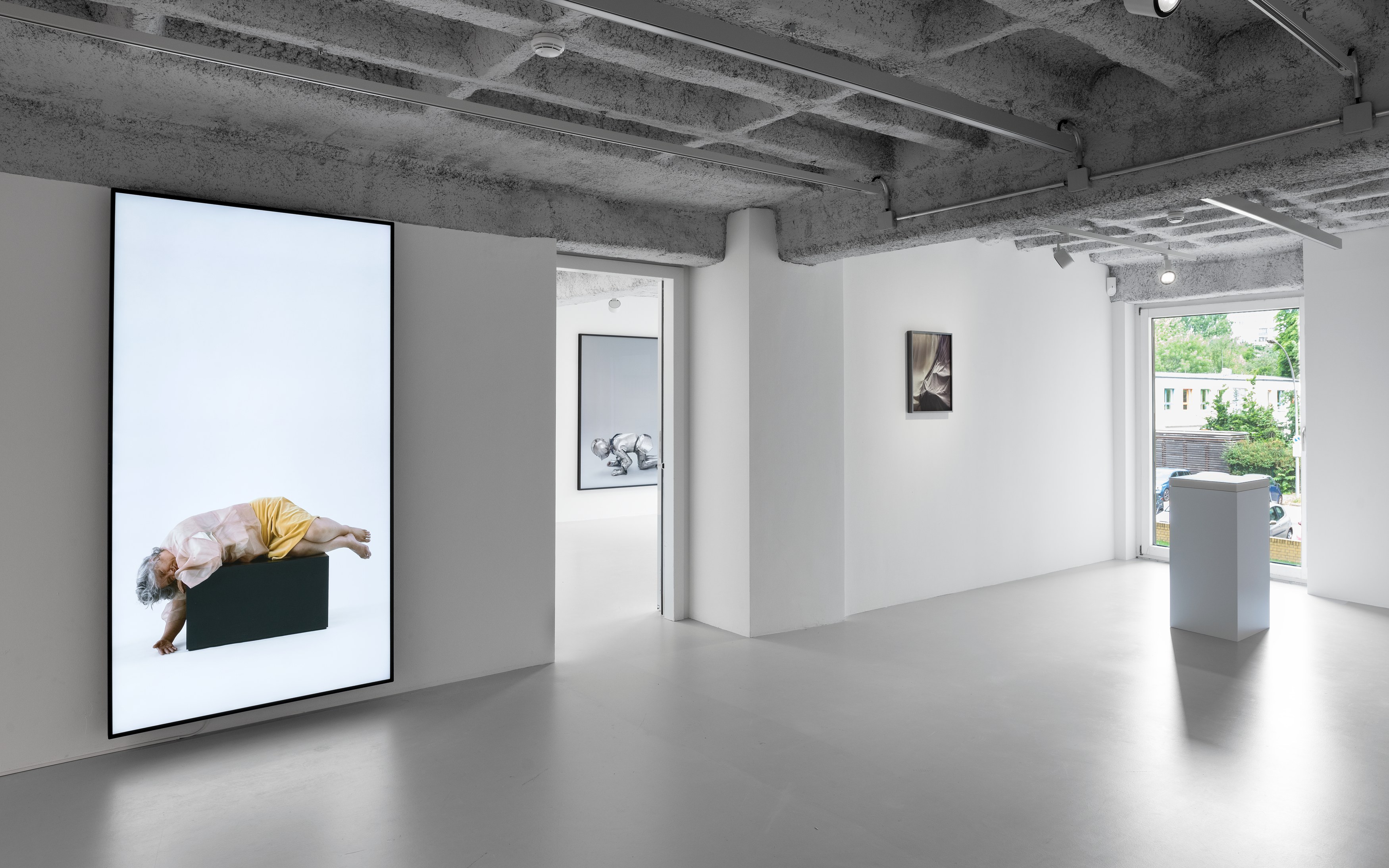 Anca Munteanu Rimnic, Treatise on Bruises at Galeria Plan B, photo 8