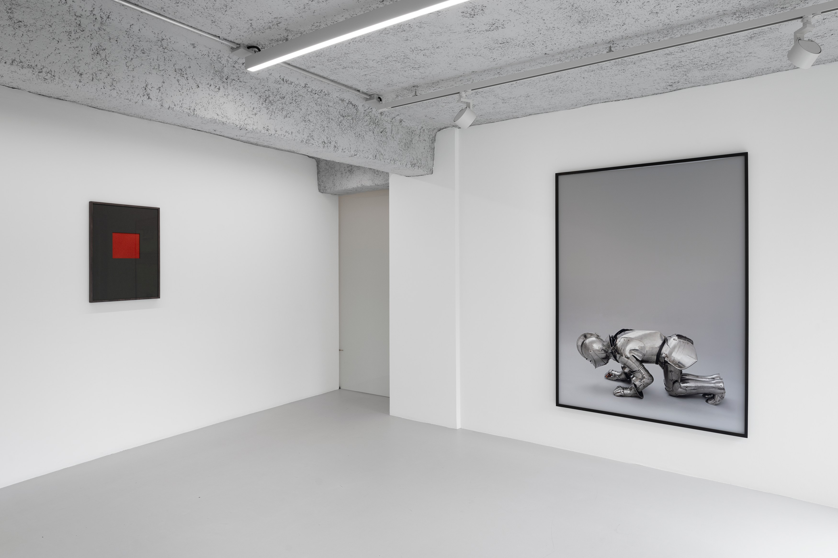 Anca Munteanu Rimnic, Treatise on Bruises at Galeria Plan B, photo 9