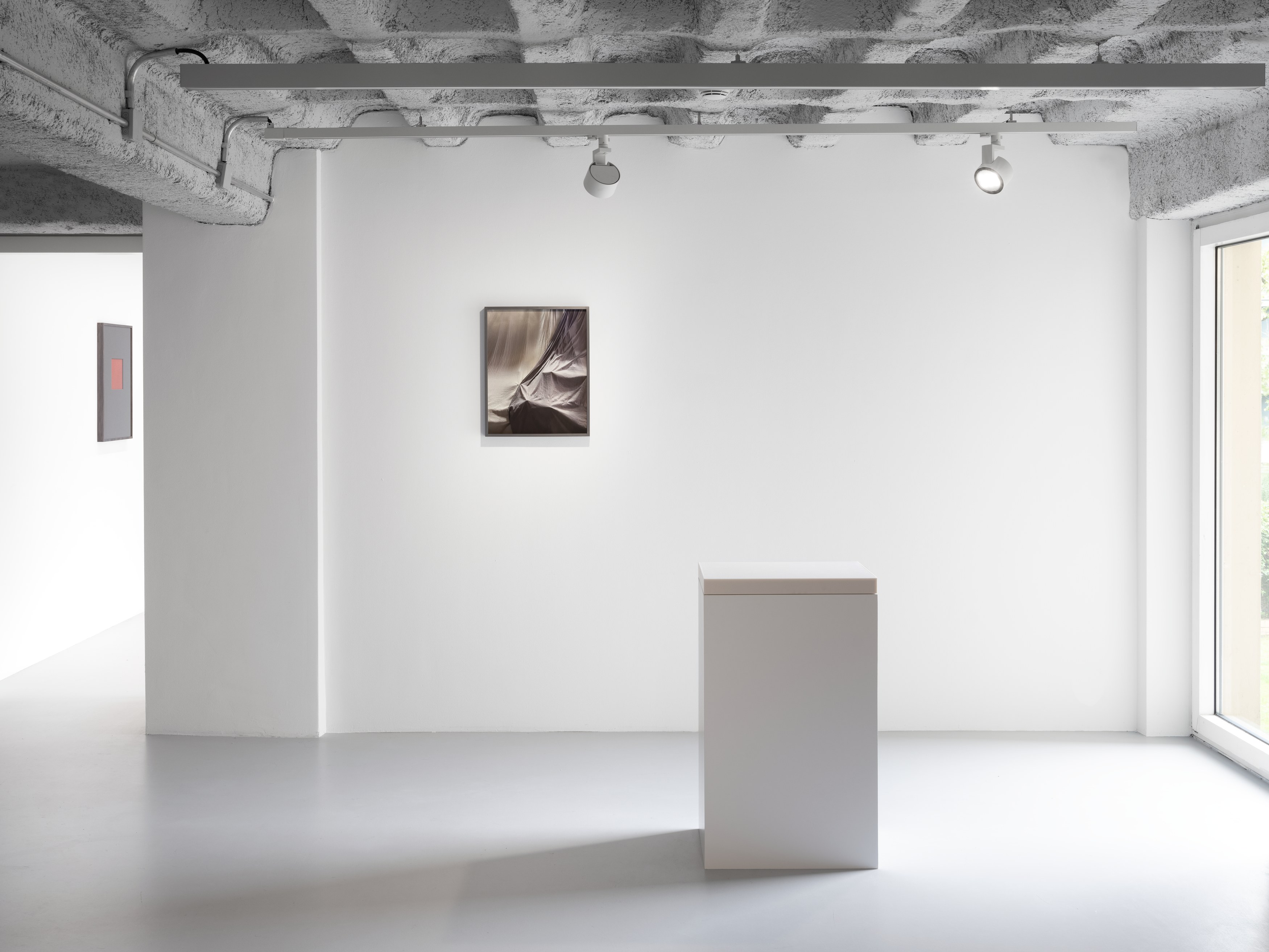 Anca Munteanu Rimnic, Treatise on Bruises at Galeria Plan B, photo 10