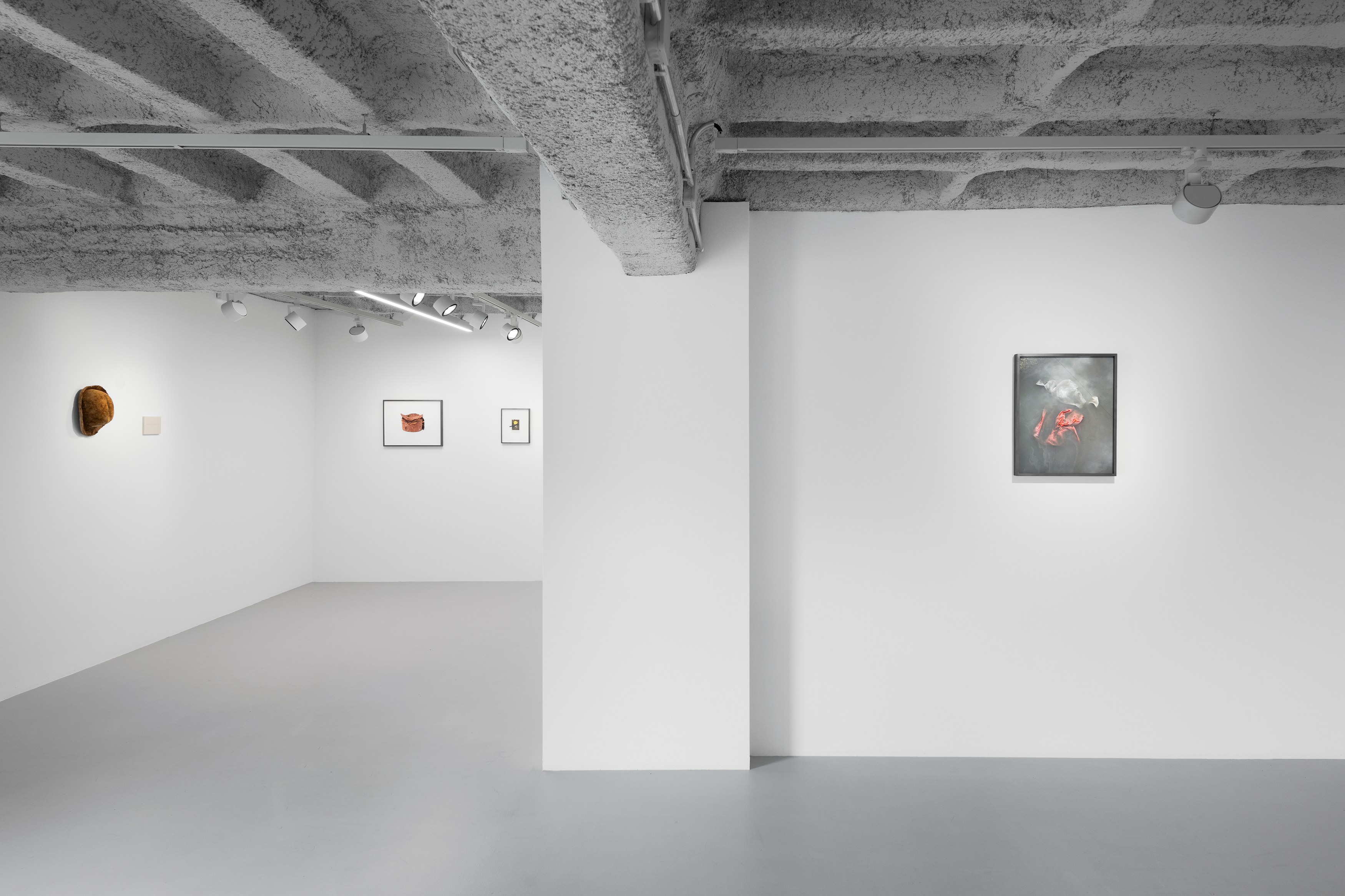Anca Munteanu Rimnic, Treatise on Bruises at Galeria Plan B, photo 11