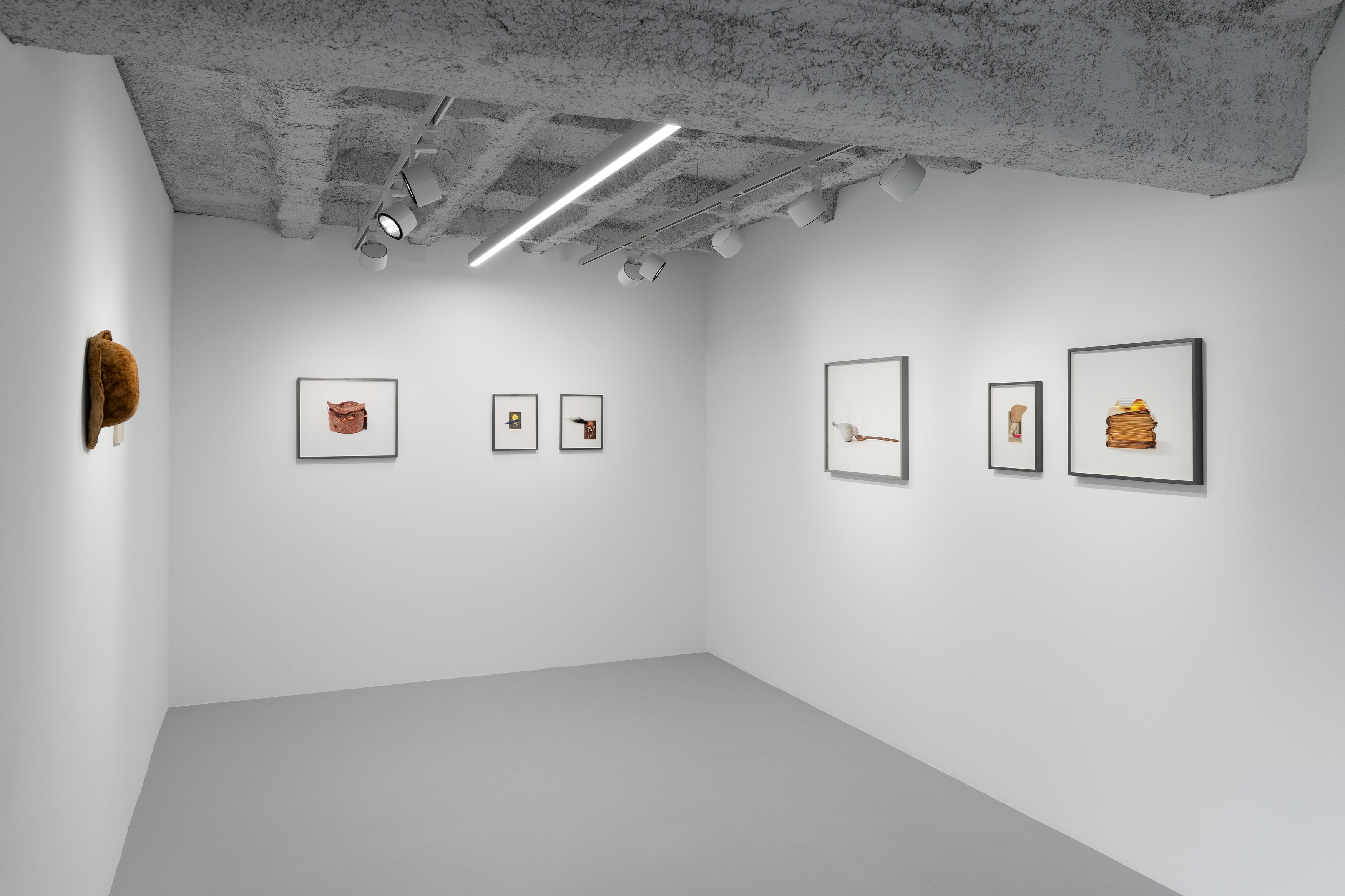 Anca Munteanu Rimnic, Treatise on Bruises at Galeria Plan B, photo 12