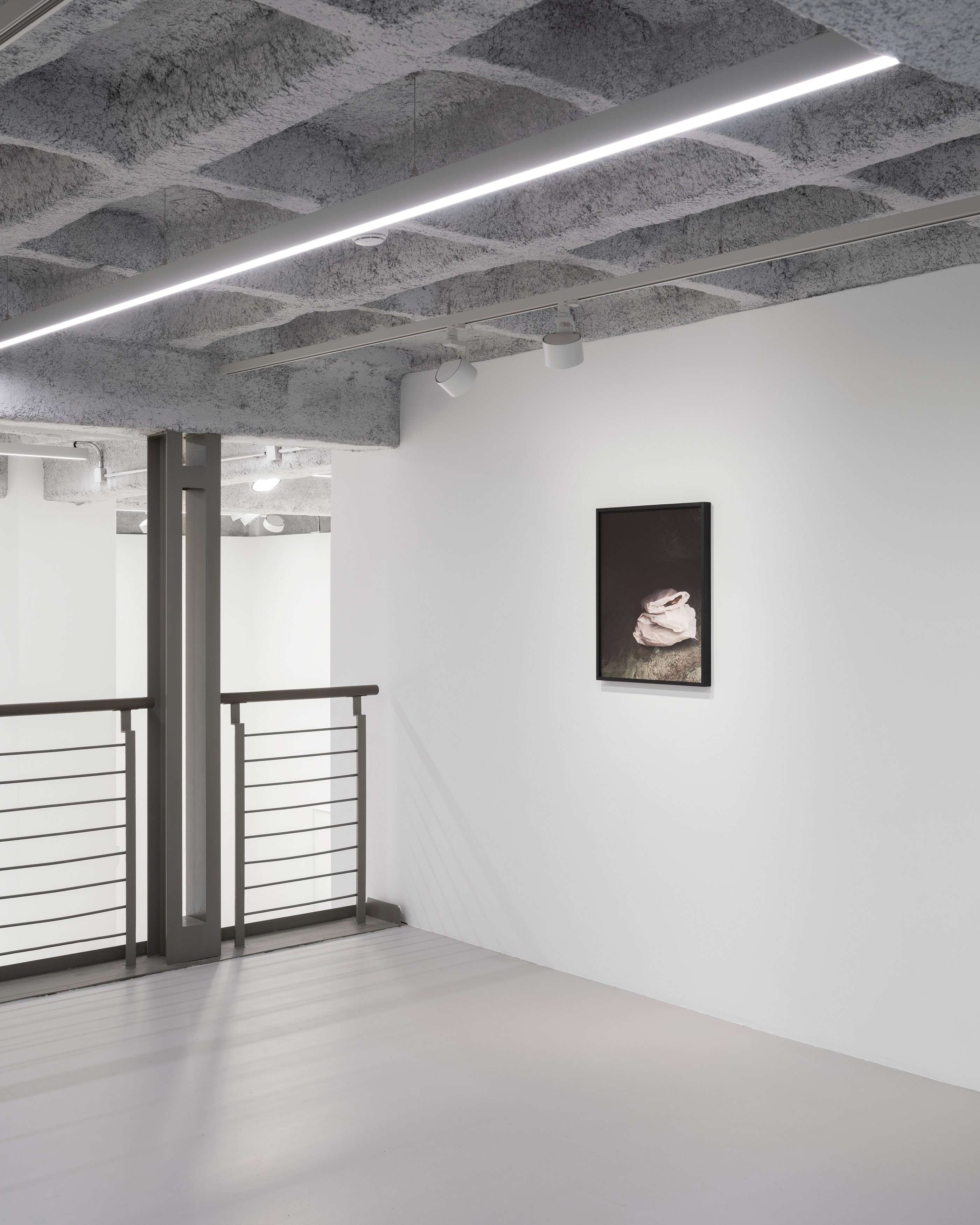 Anca Munteanu Rimnic, Treatise on Bruises at Galeria Plan B, photo 13