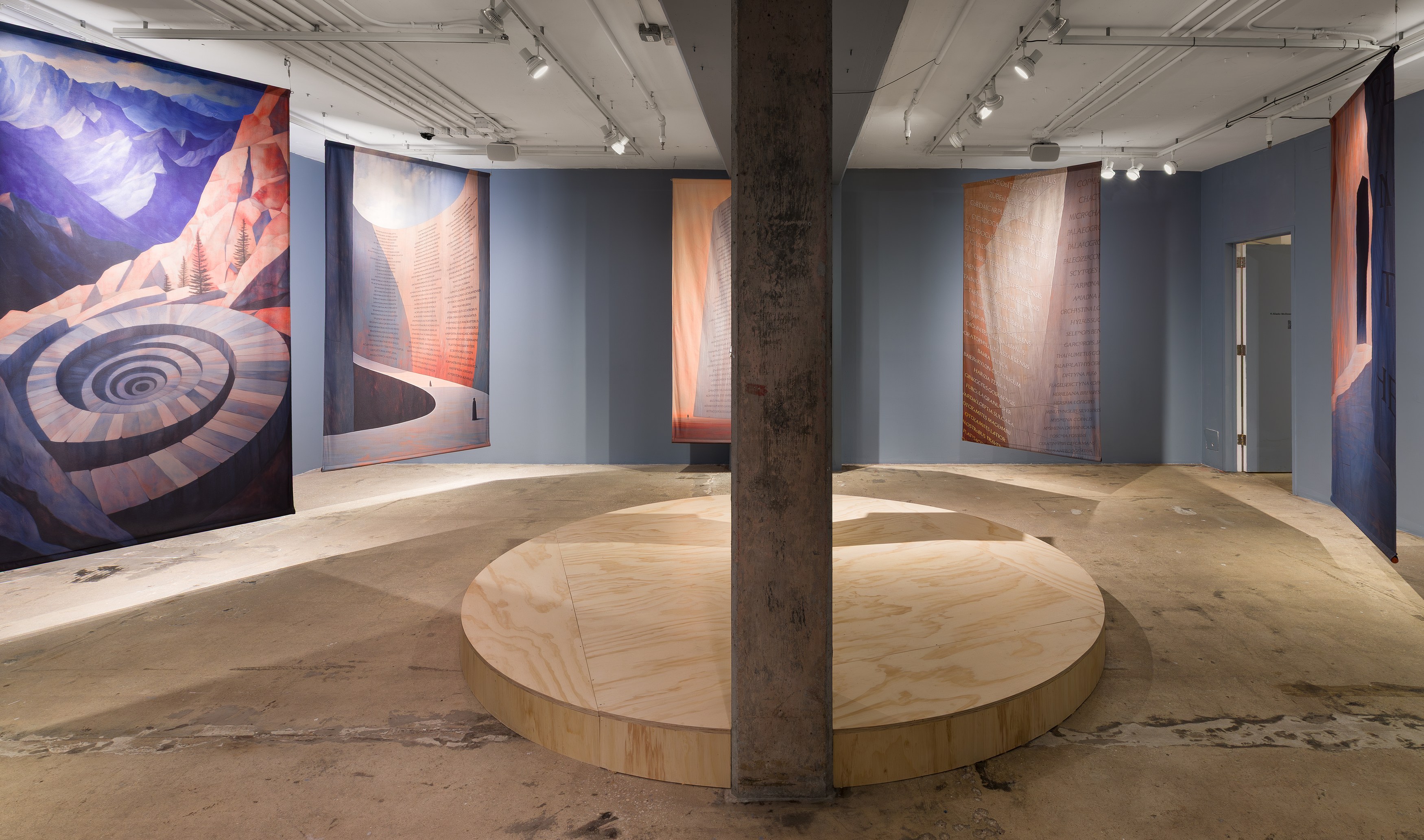 K Allado-McDowell, The Known Lost at Swiss Institute, photo 5