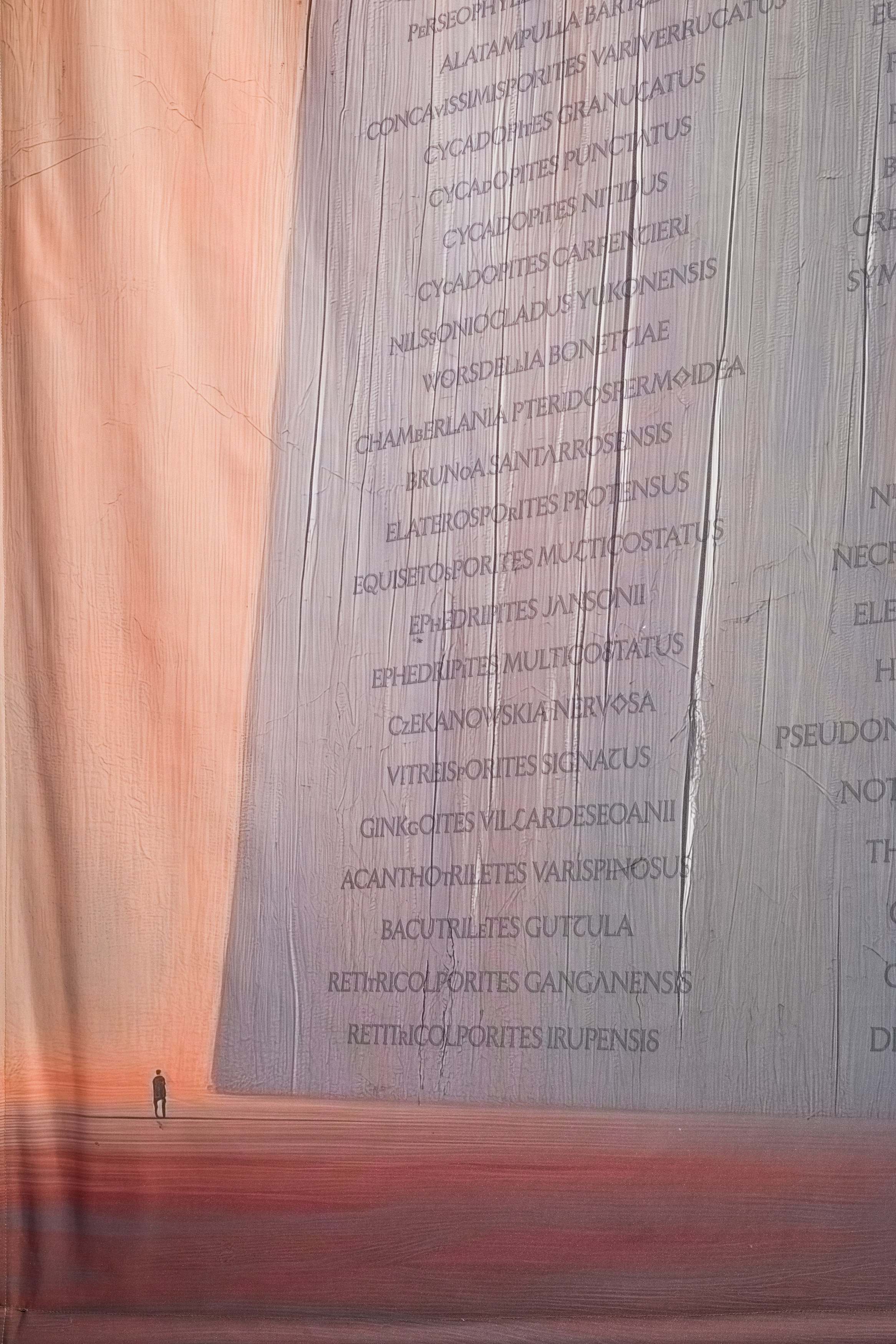 K Allado-McDowell, The Known Lost at Swiss Institute, photo 4