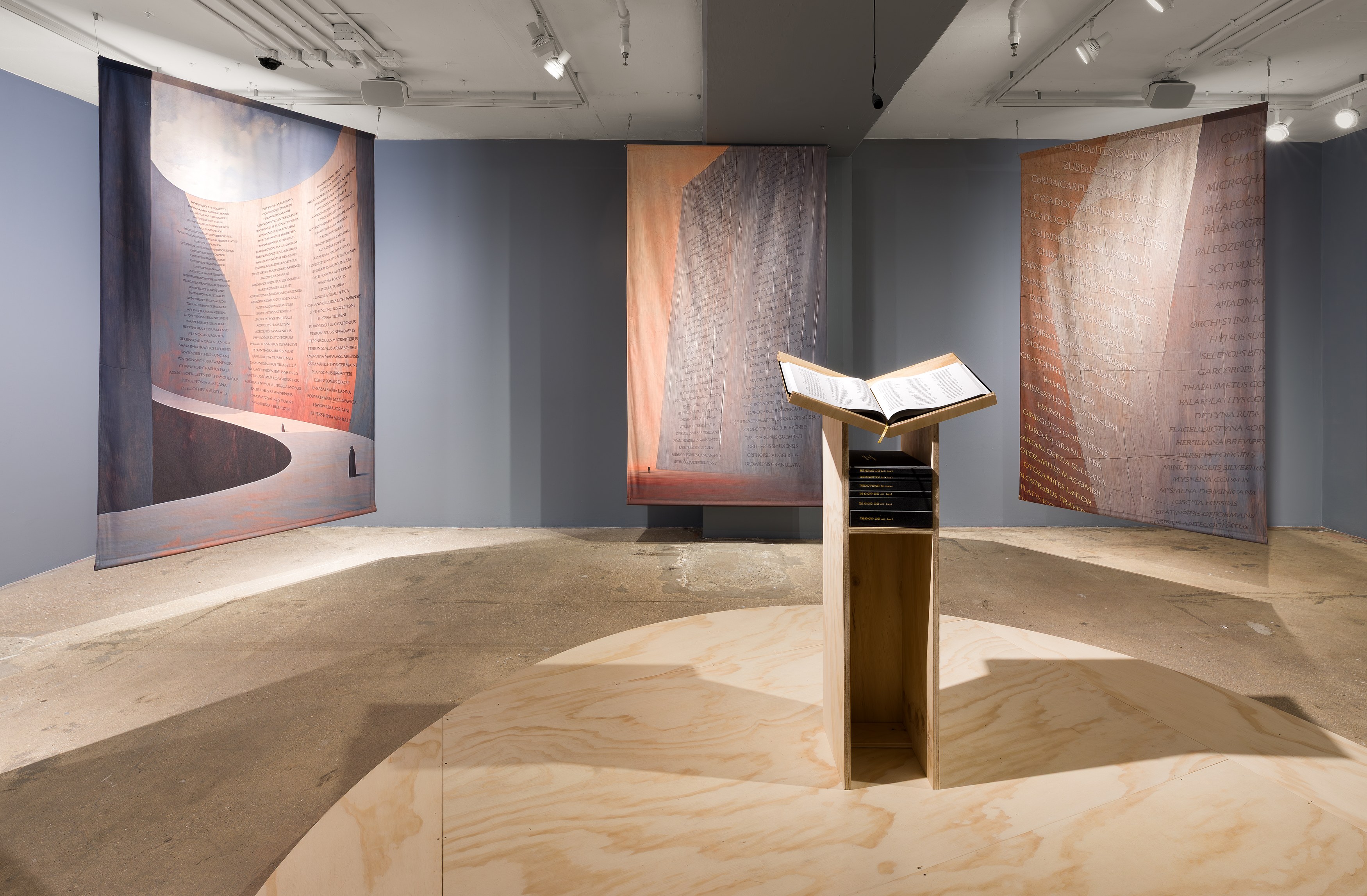 K Allado-McDowell, The Known Lost at Swiss Institute, photo 7
