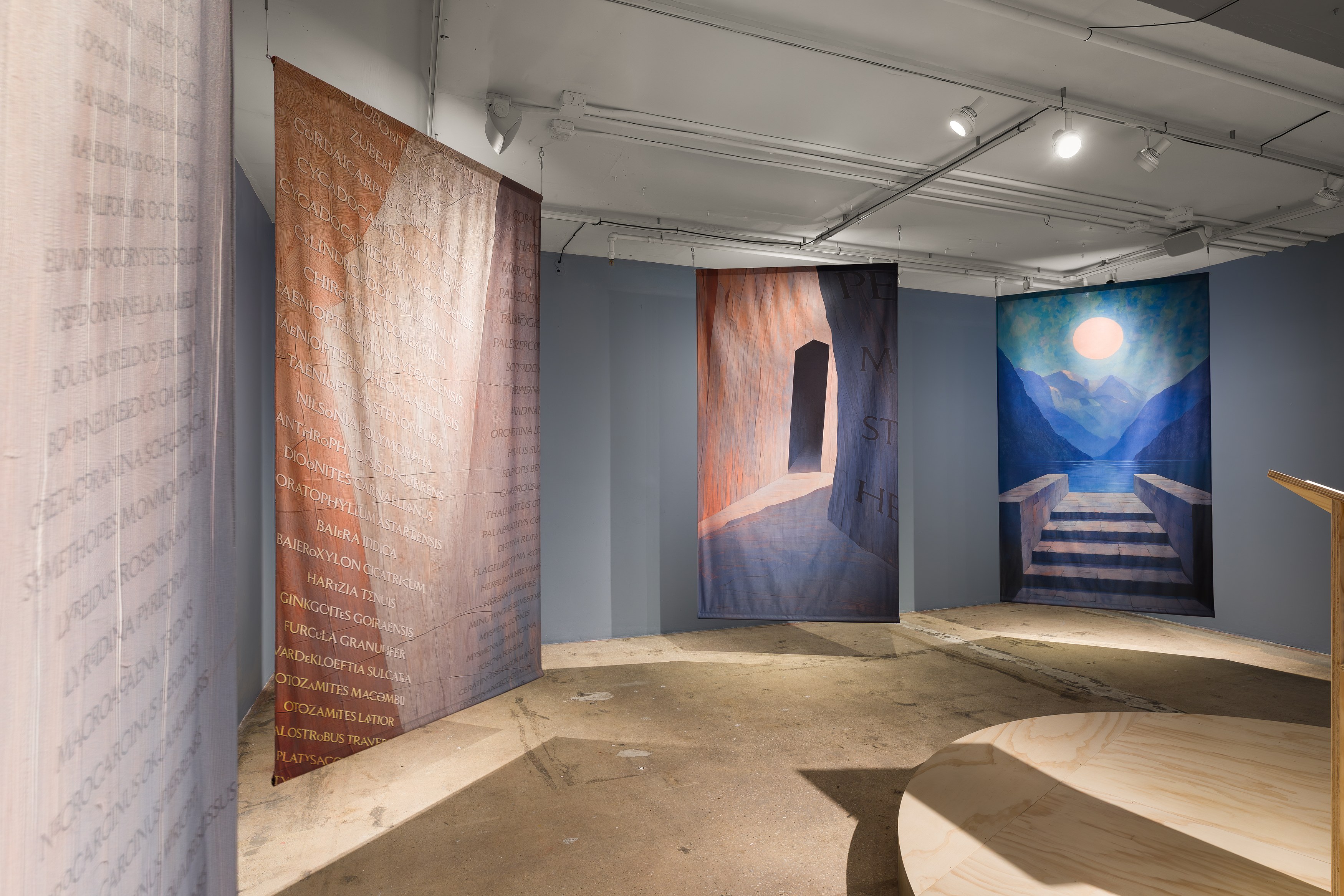 K Allado-McDowell, The Known Lost at Swiss Institute, photo 8