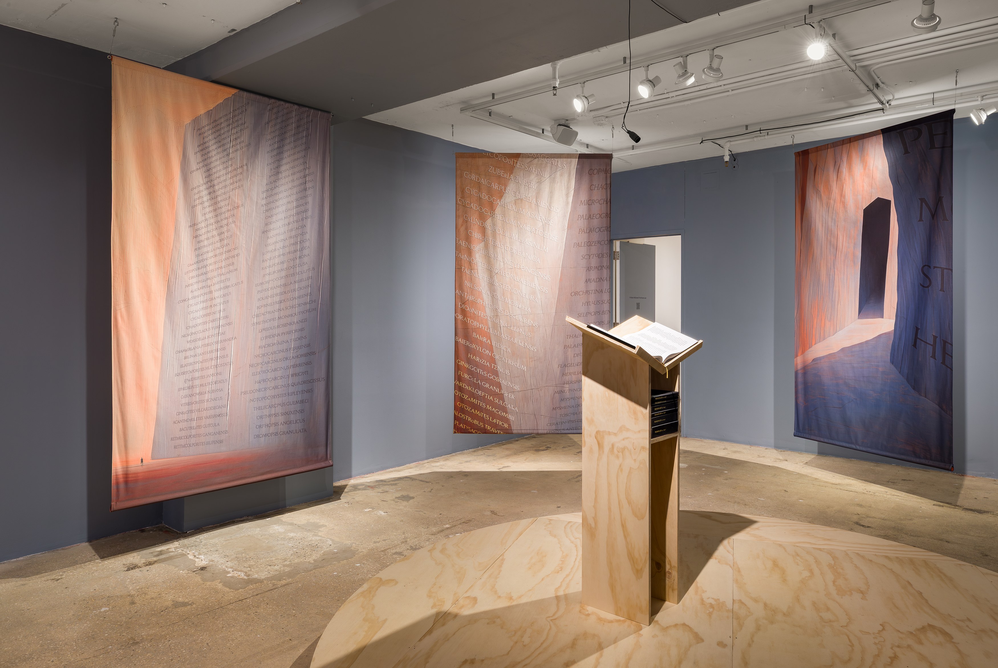 K Allado-McDowell, The Known Lost at Swiss Institute, photo 9