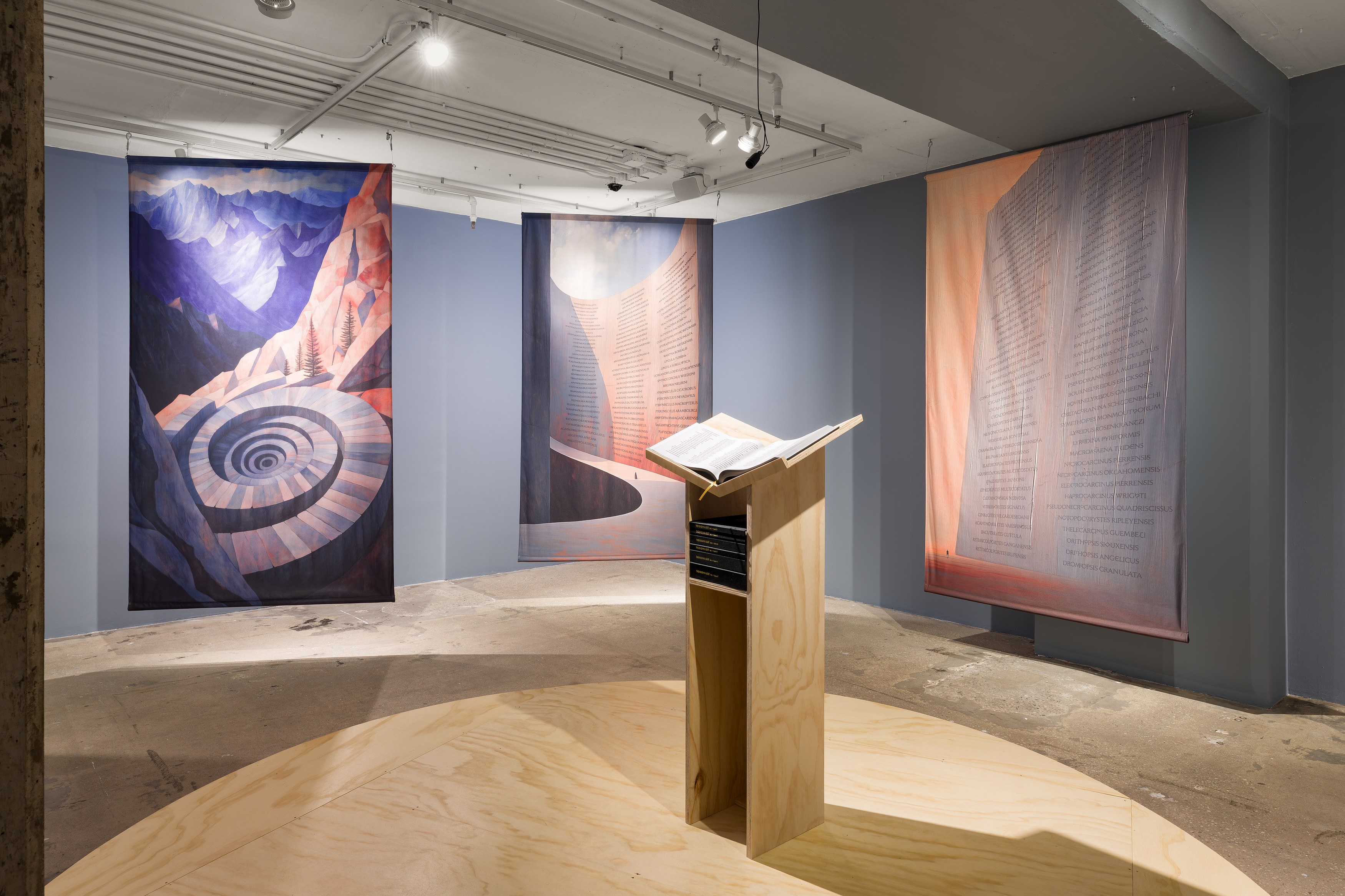 K Allado-McDowell, The Known Lost at Swiss Institute, photo 11