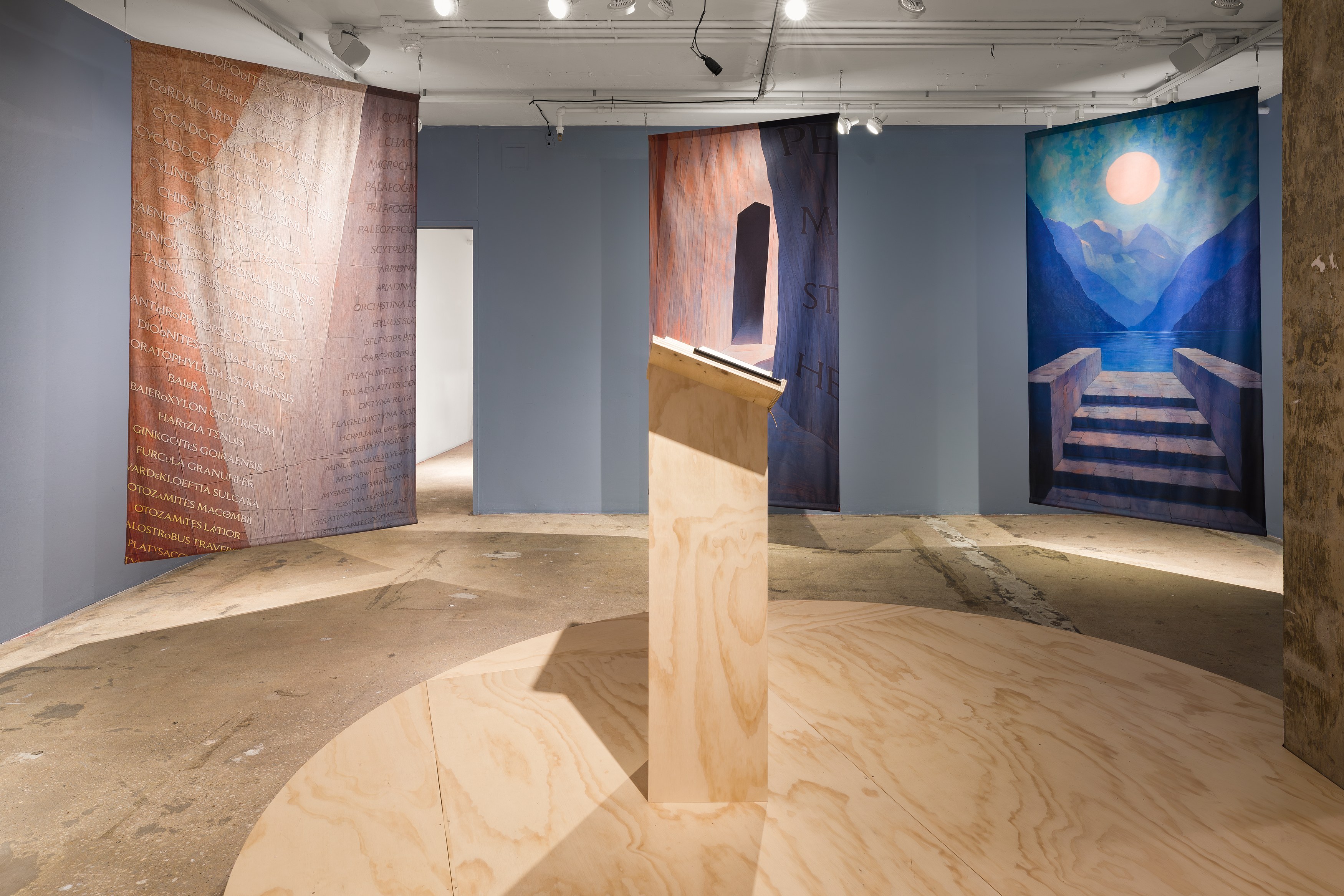 K Allado-McDowell, The Known Lost at Swiss Institute, photo 13