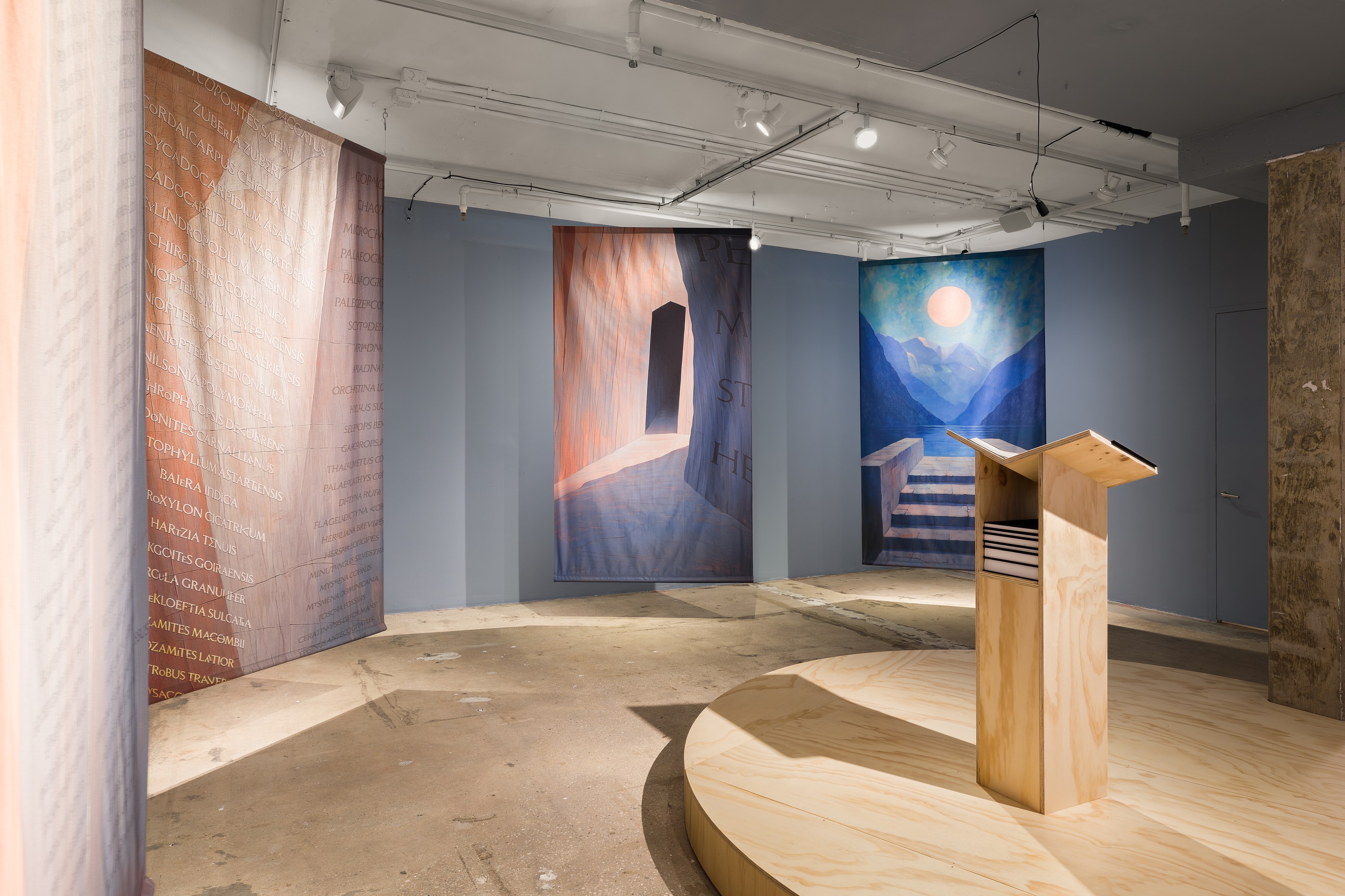 K Allado-McDowell, The Known Lost at Swiss Institute, photo 12