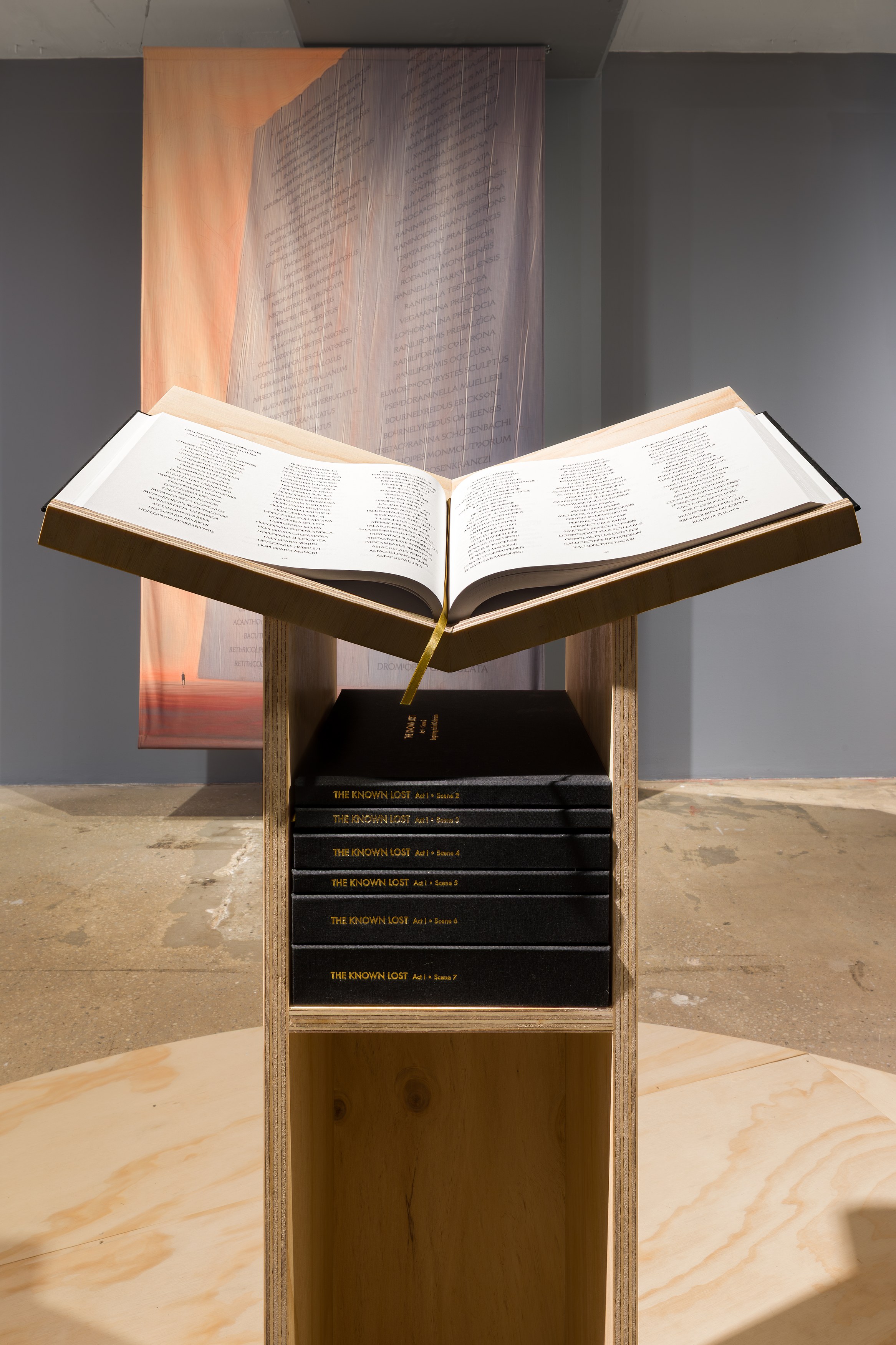 K Allado-McDowell, The Known Lost at Swiss Institute, photo 16
